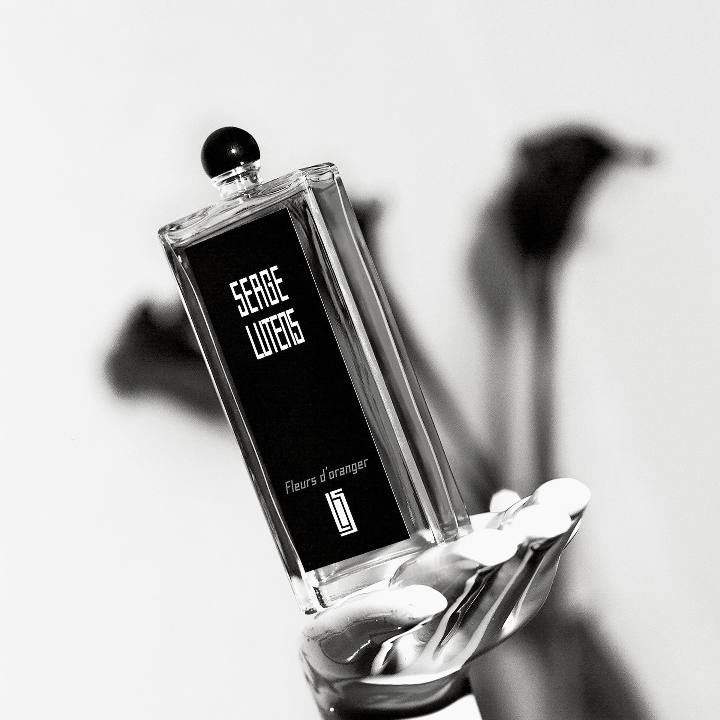 NEW-SG-FINAL-B+W