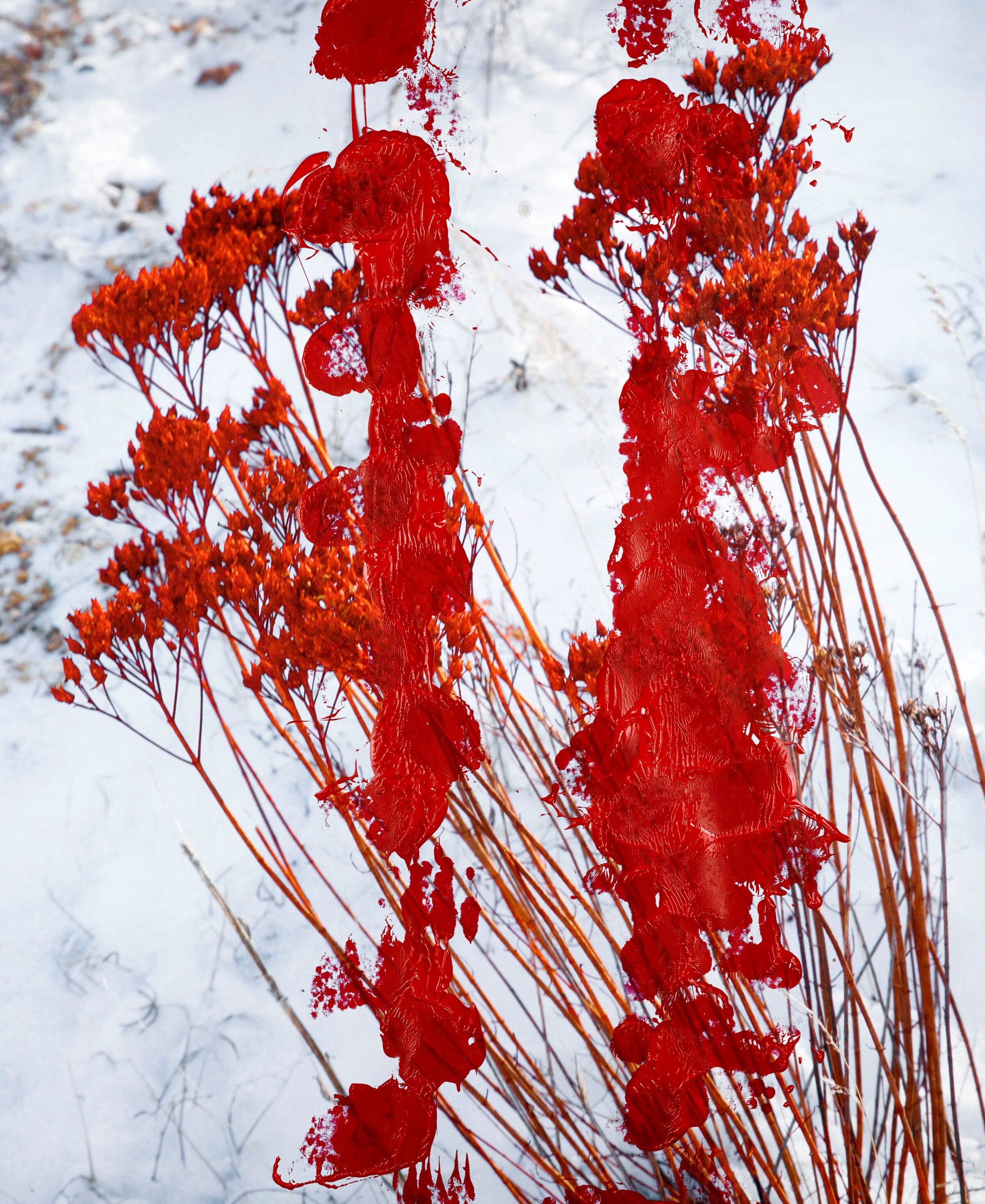 unseensights_00009