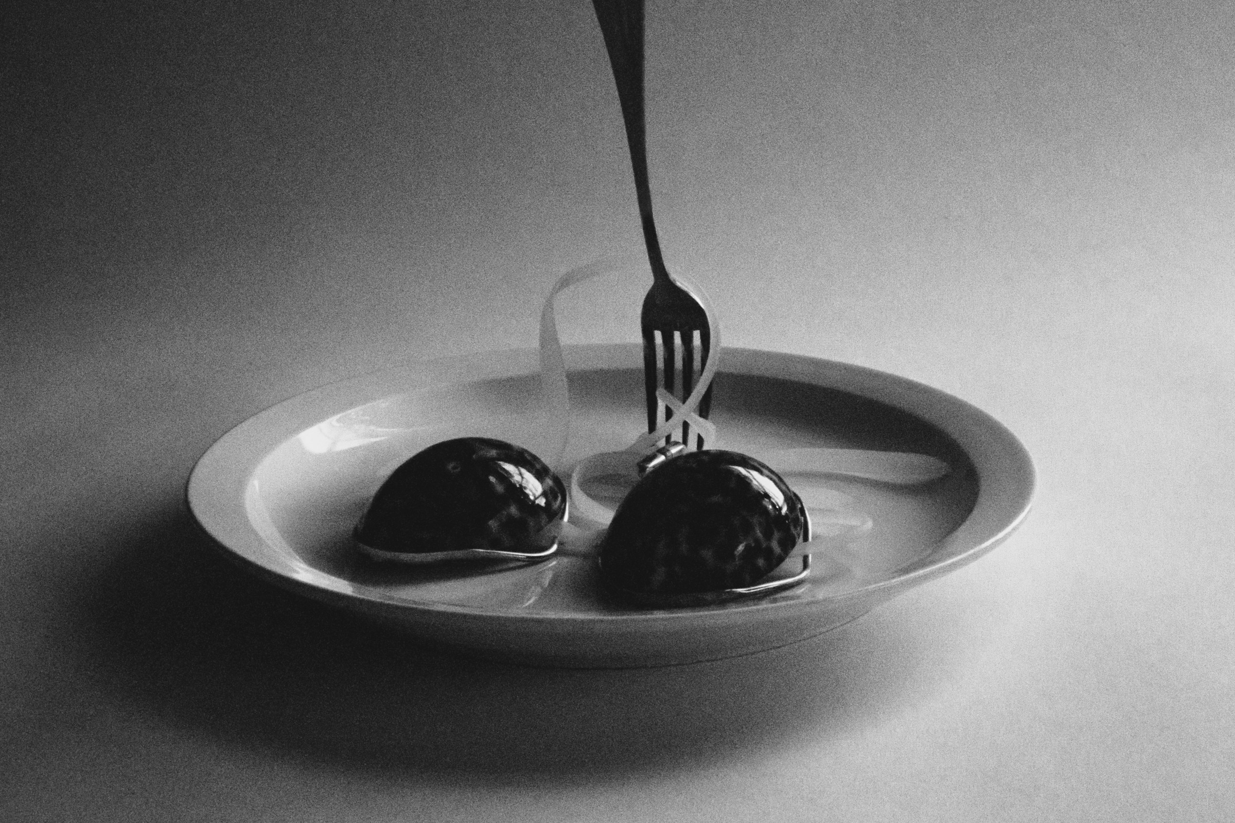 Rebecca Jeffs x Chris Rhodes Void exhibition 1 Granary 2019