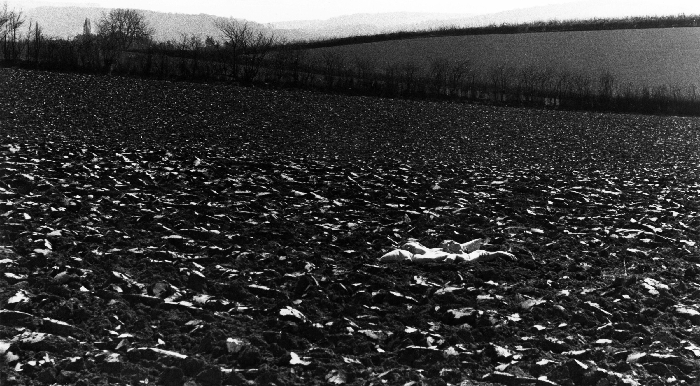 1. RoseEnglish_Bed in Field 1973