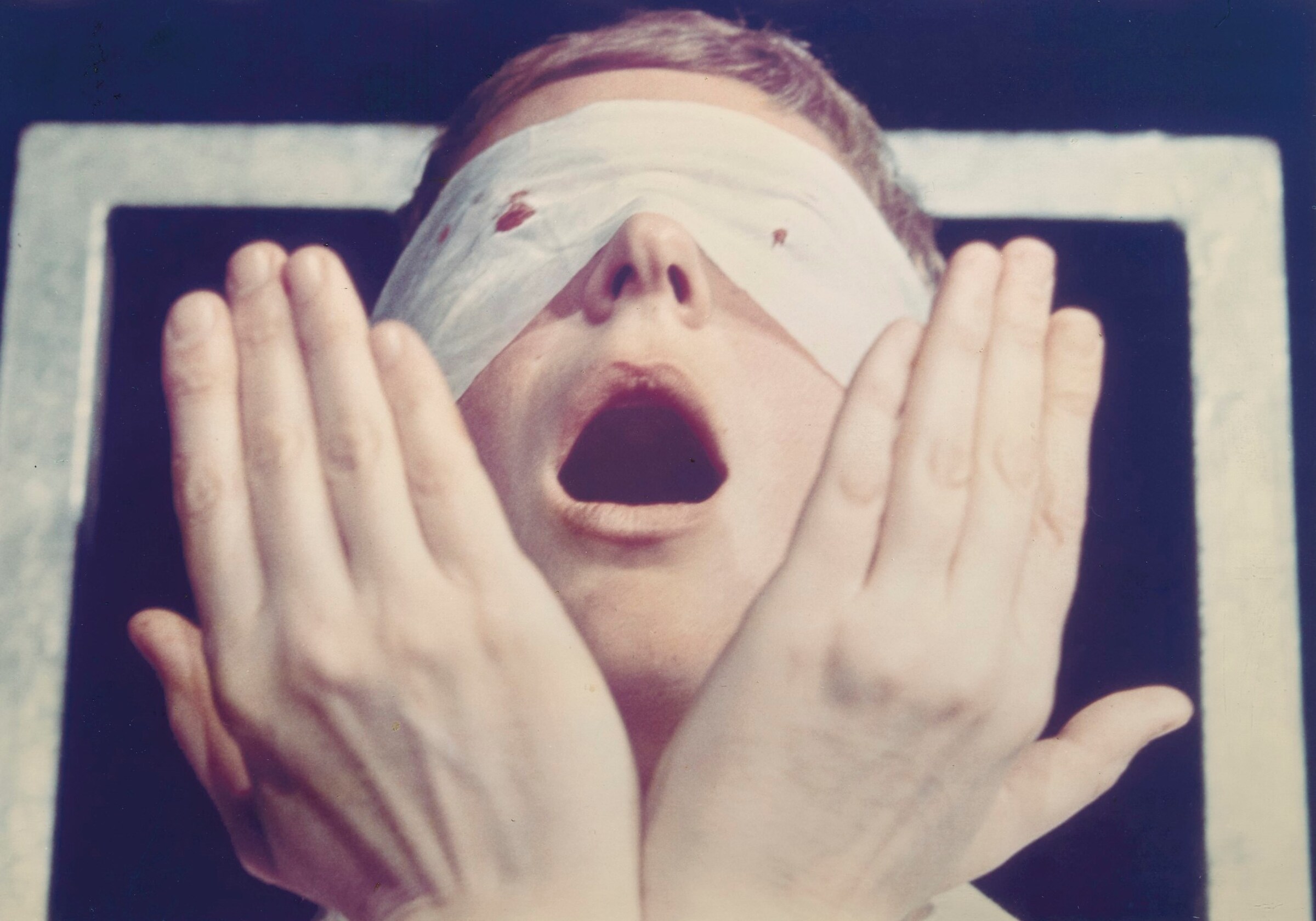 6. Gina Pane_Action Psych&#233;_1973_Cropped_2