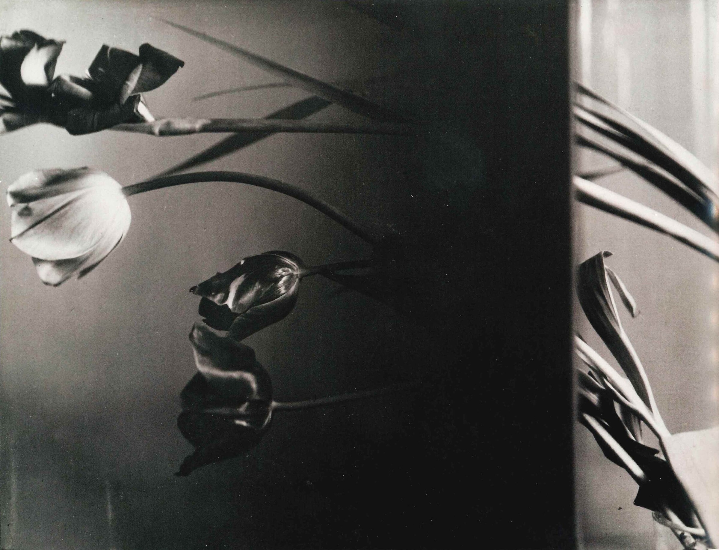 FLORENCE HENRI Nature Morte (Still-Life Compositio