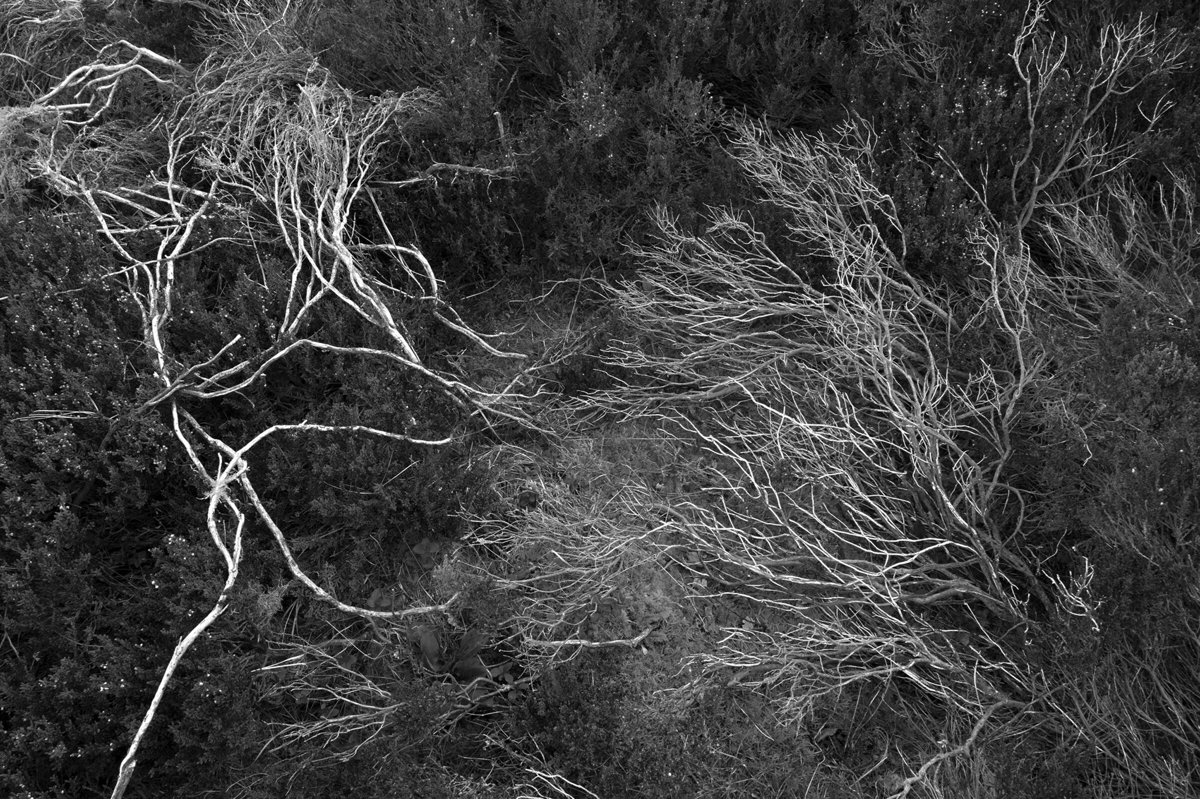 Analogies Stuart Franklin Hatje Cantz