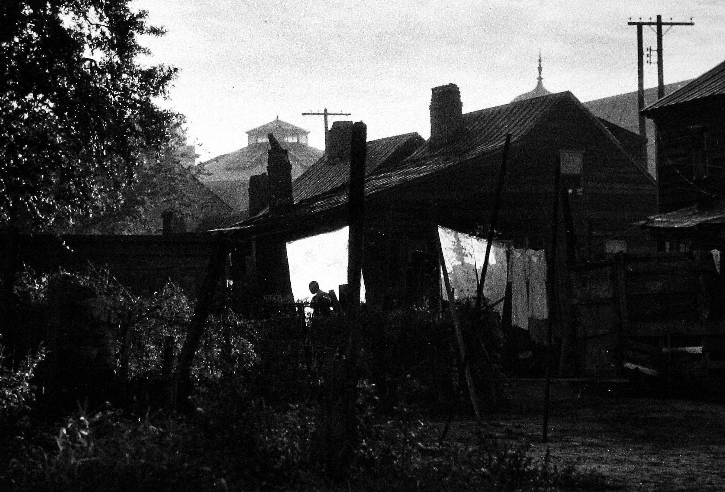 Bruce Davidson interview Subject: Contact