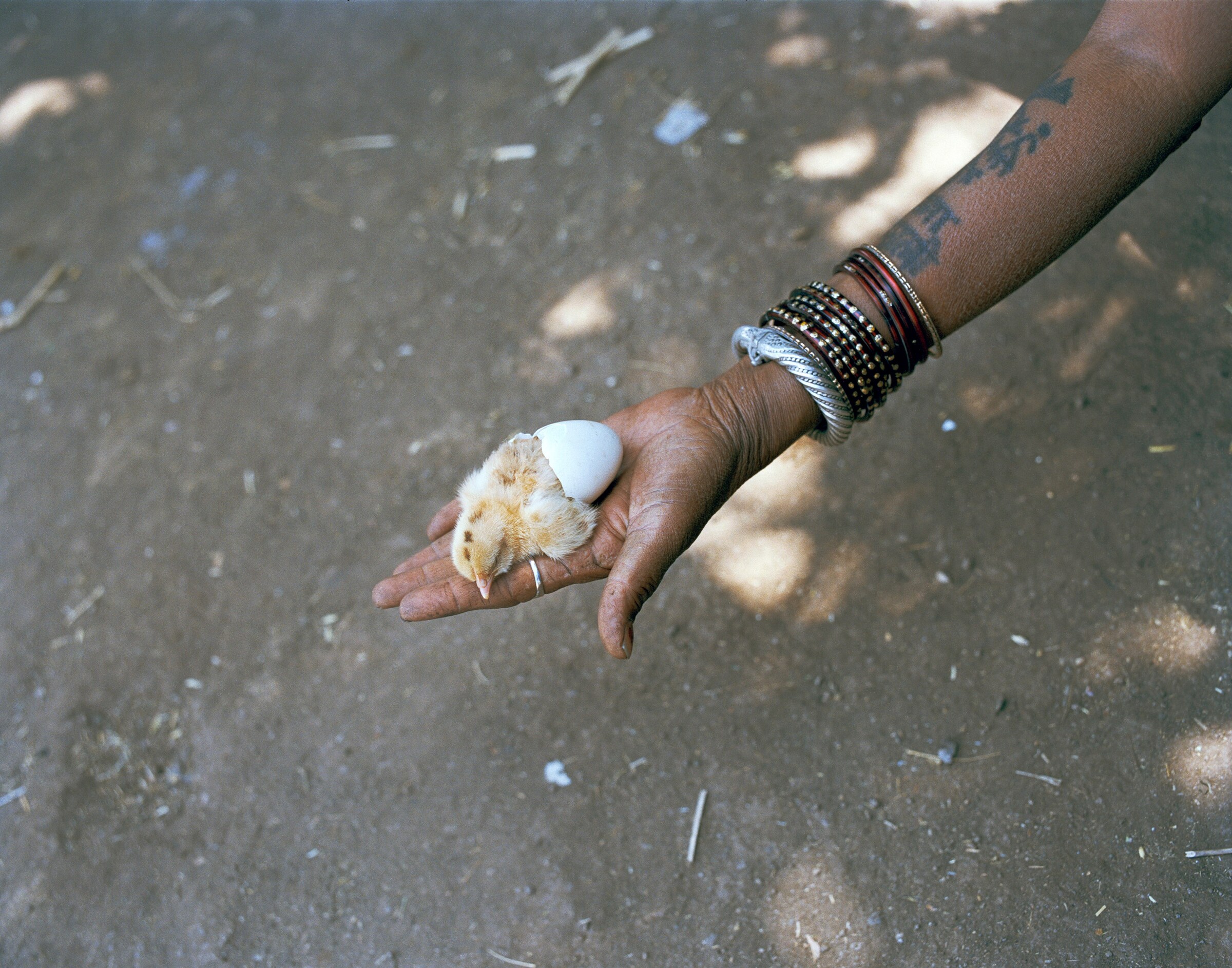 Sohrab Hura Photography Kiko Kostadinov Magnum Photos India