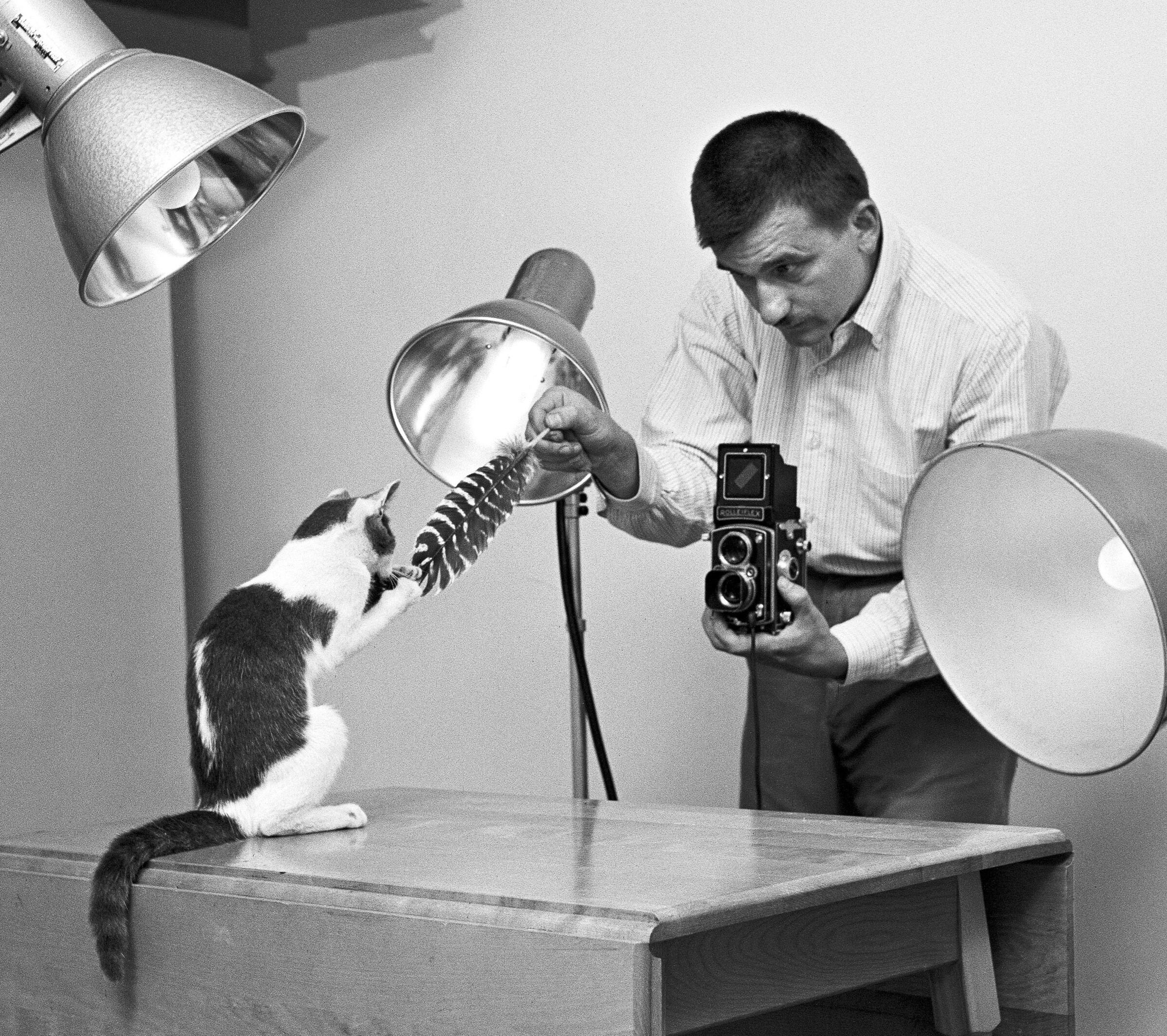 Walter Chandoha Cats Taschen Photography Book 2019 high res
