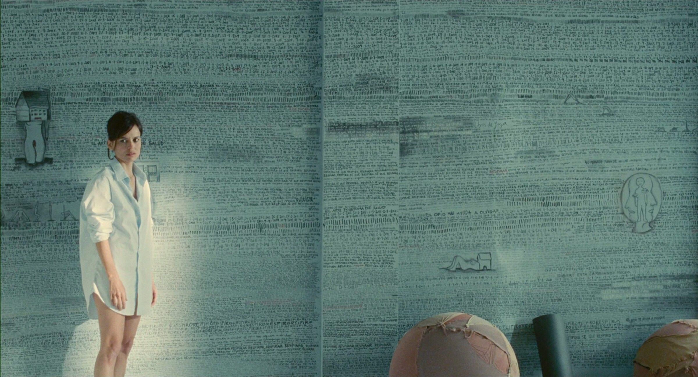 The Skin I Live In Pedro Almod&#243;var Art Pain and Glory
