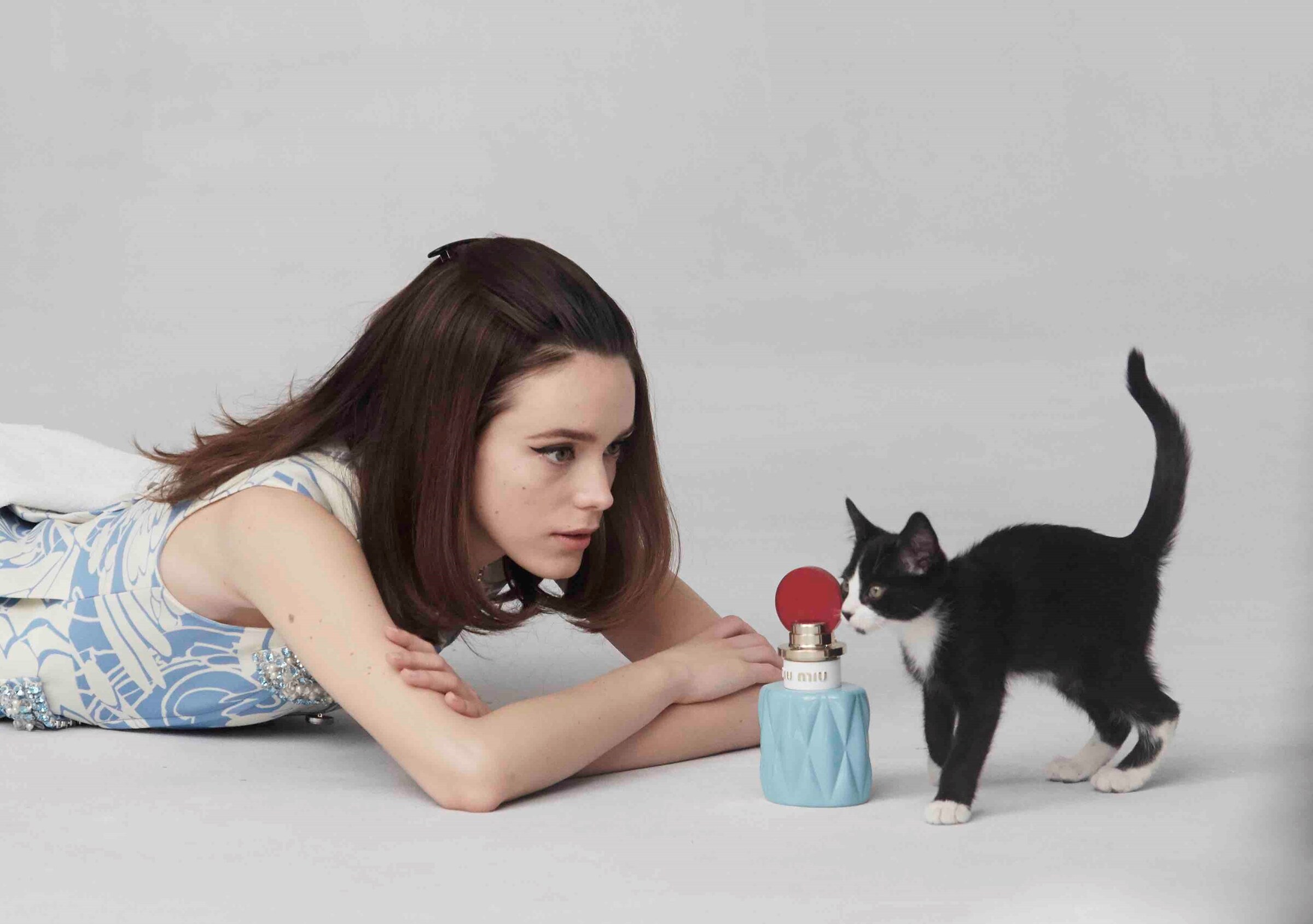 Miu Miu Givenchy Gucci Stella McCartney Cats in Fashion