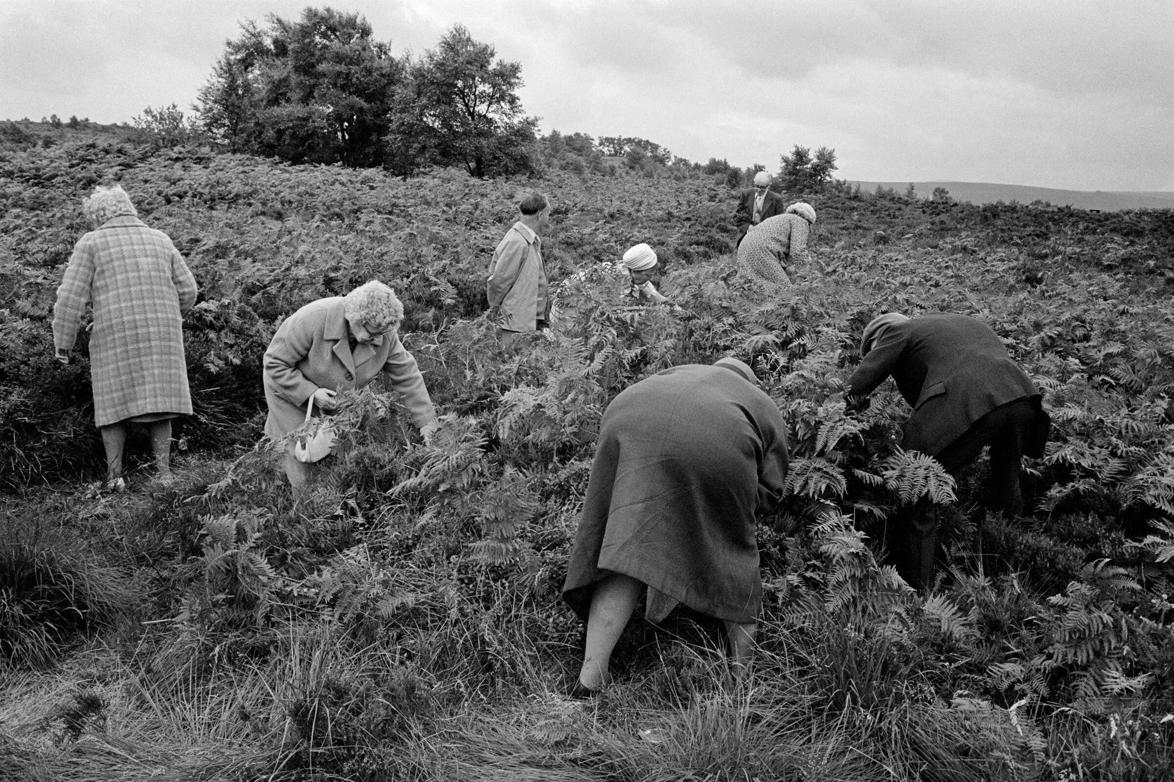 Martin Parr Early Works Photography Book United Kingdom