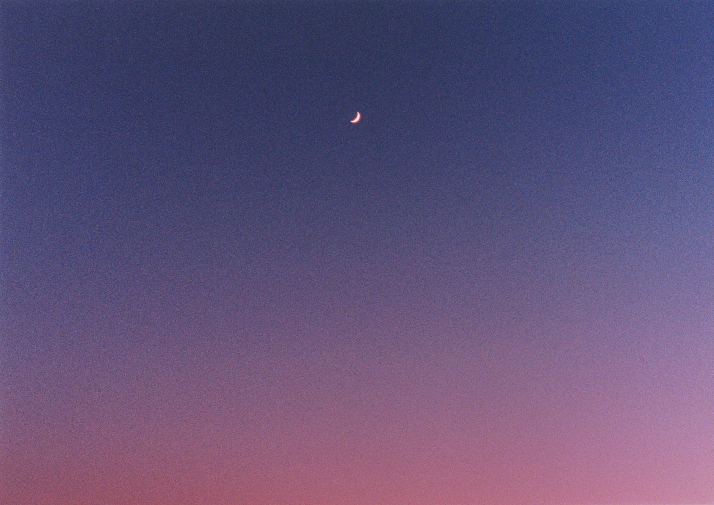 Yumi and the Moon Yumi Carter Alexandra Leese