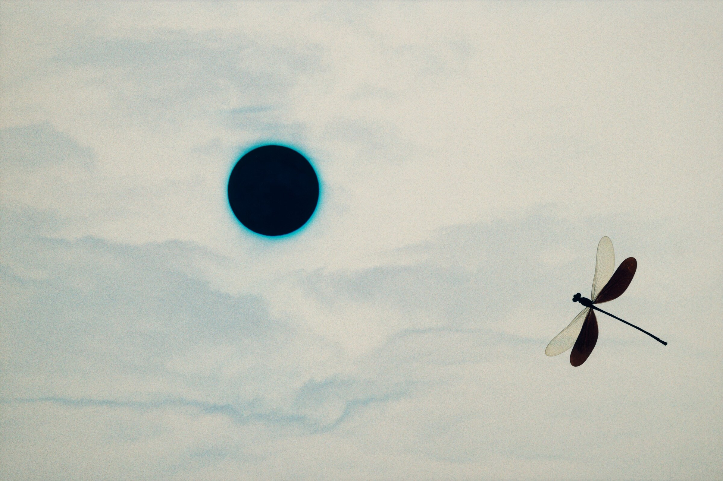 Yumi and the Moon Yumi Carter Alexandra Leese