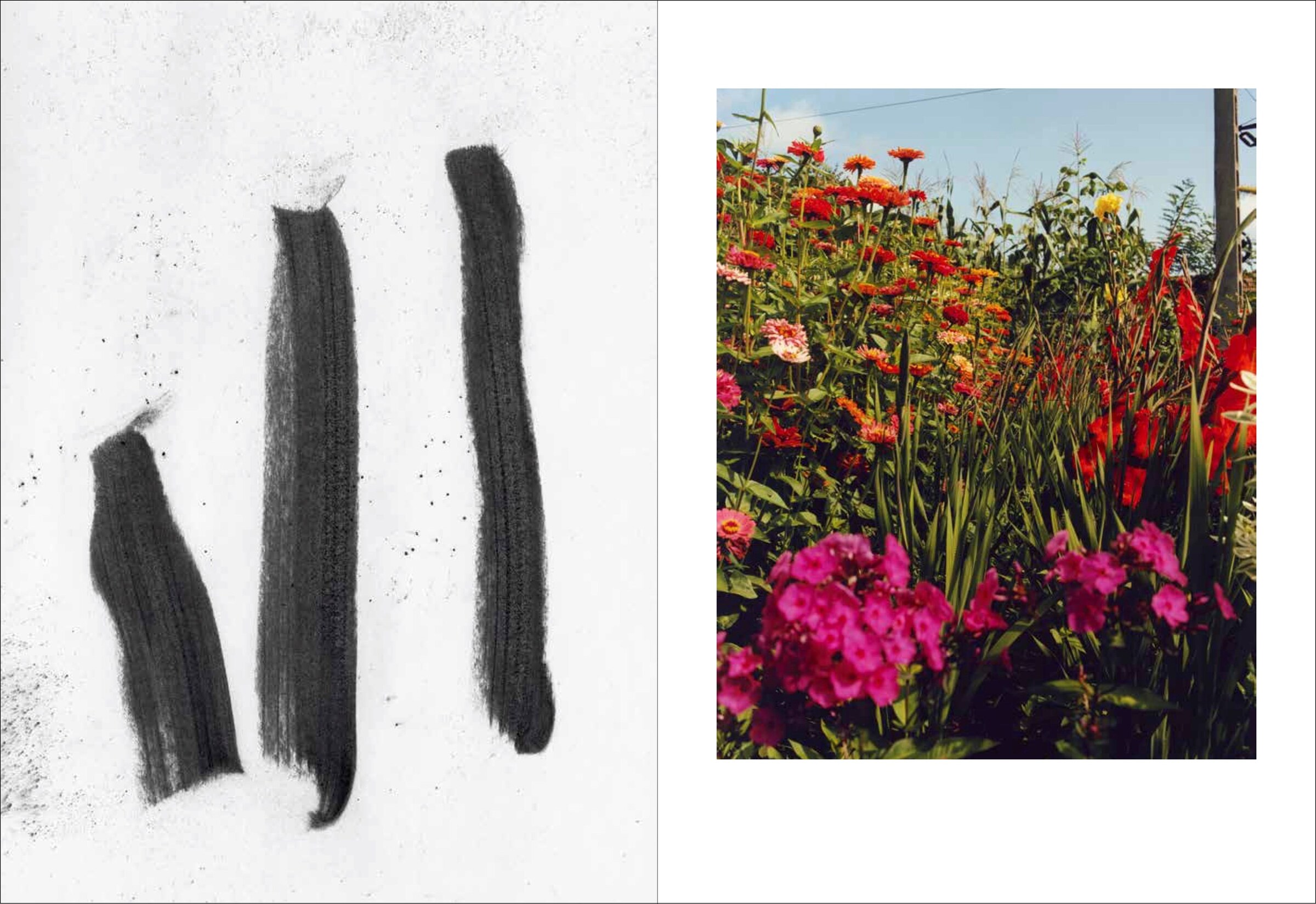 On Keeping a Notebook by Jamie Hawkesworth