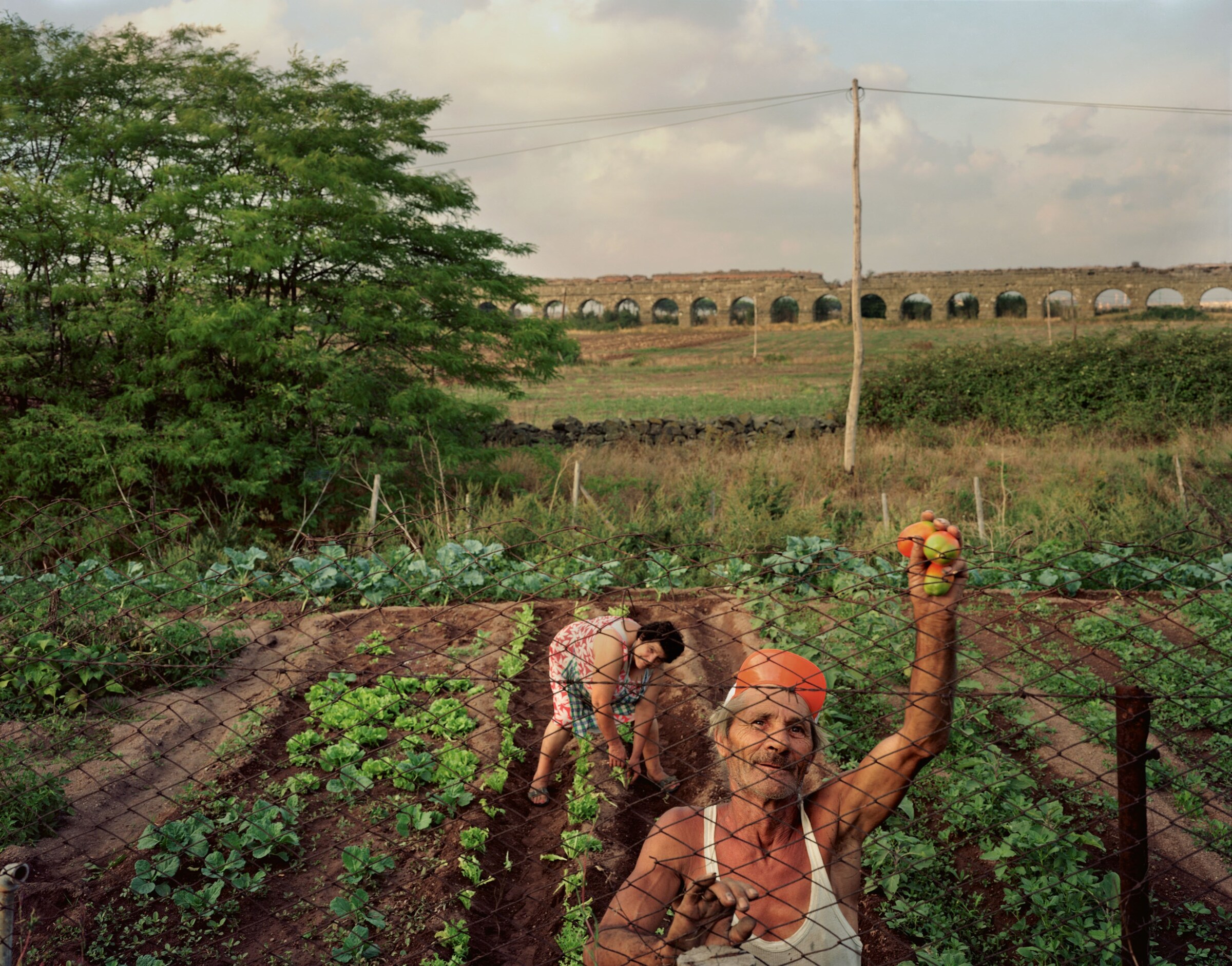 Joel Sternfeld Rome After Rome Steidl