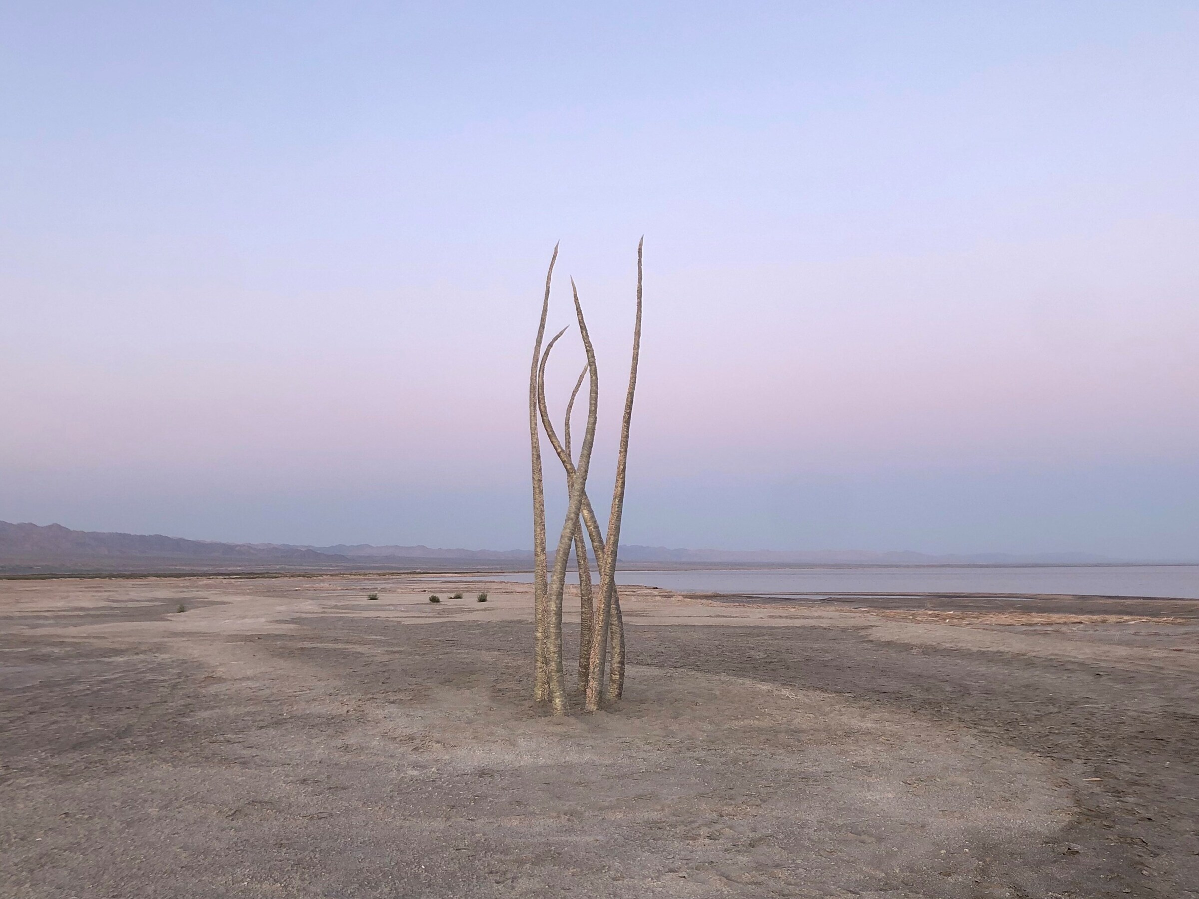 Wanda Orme Akasha 2020 Salton Sea art sculpture