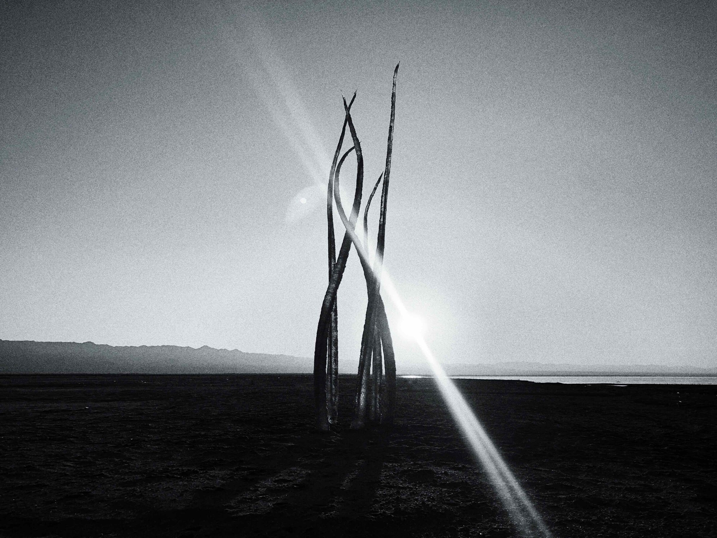 Wanda Orme Akasha 2020 Salton Sea art sculpture
