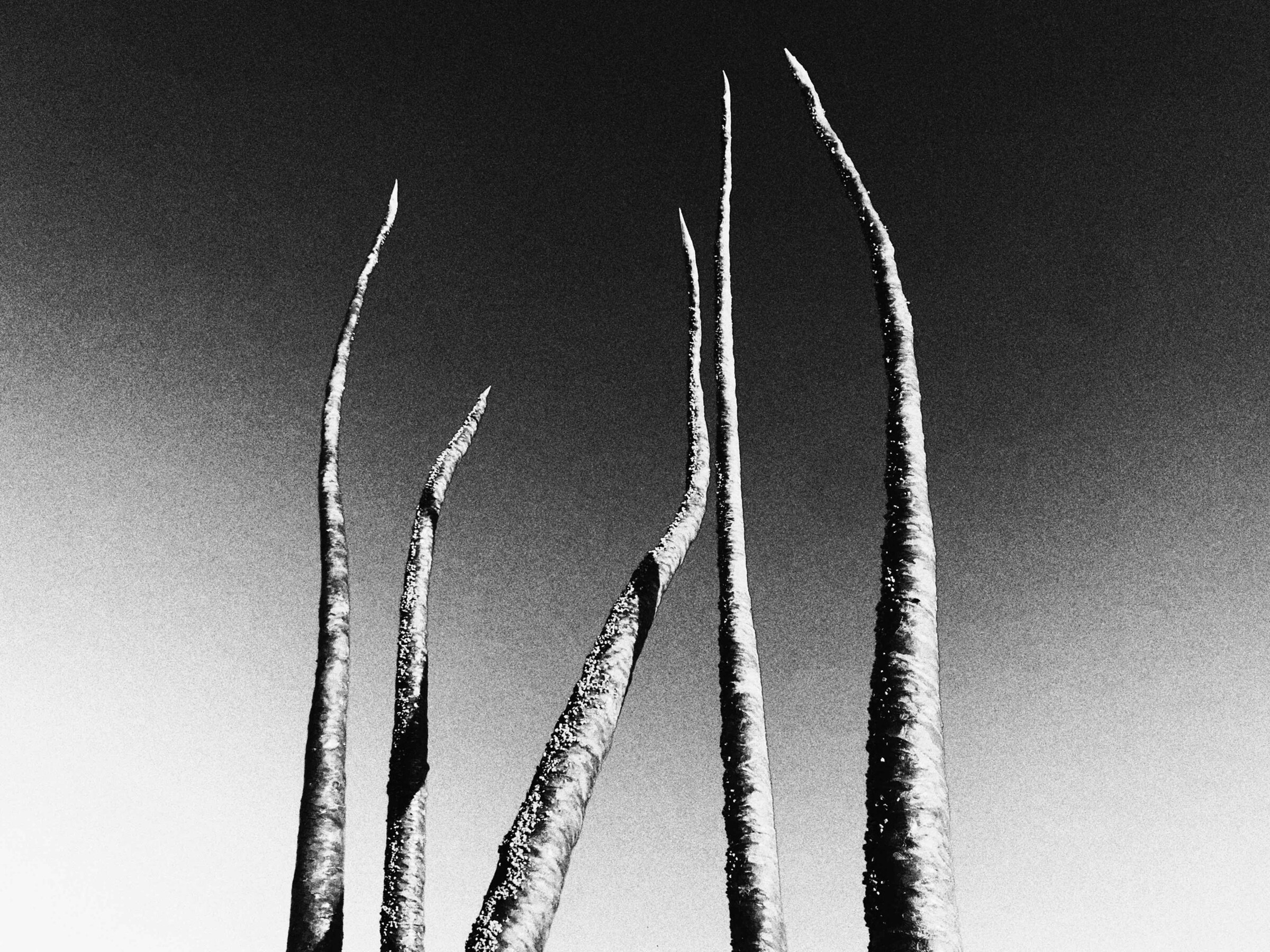 Wanda Orme Akasha 2020 Salton Sea art sculpture