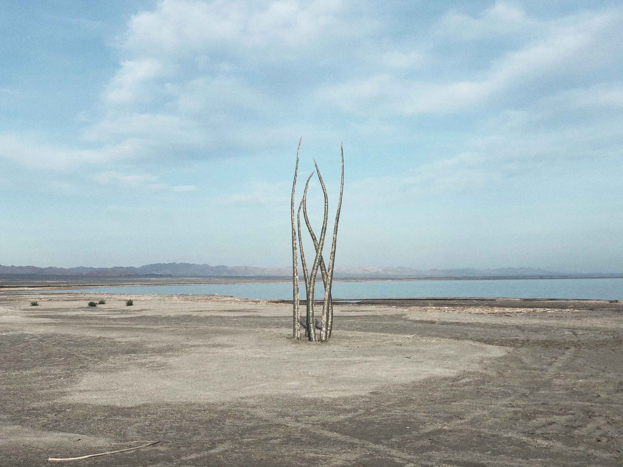 Wanda Orme Akasha 2020 Salton Sea art sculpture