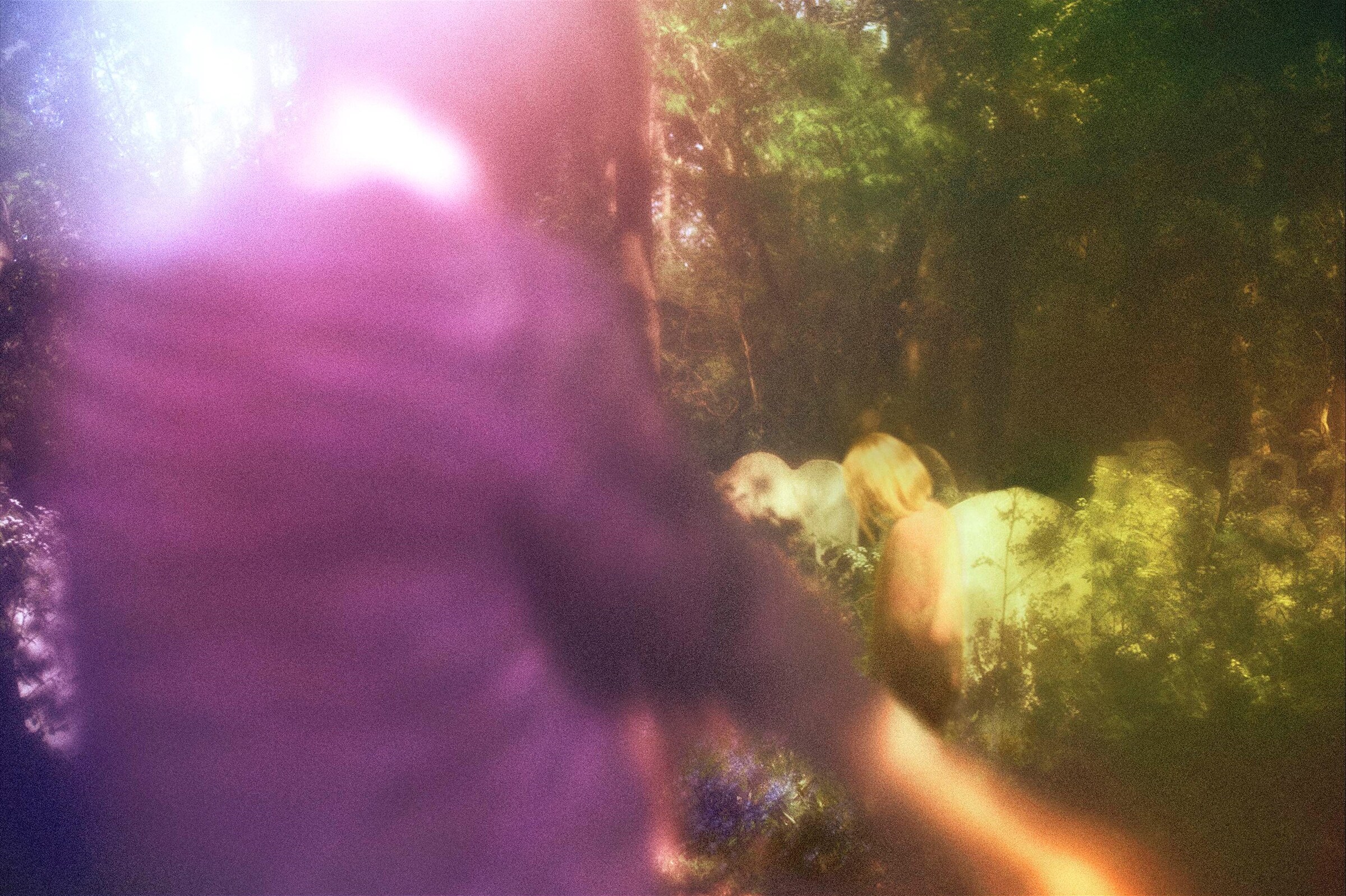 Photography by Dougie Irvine
