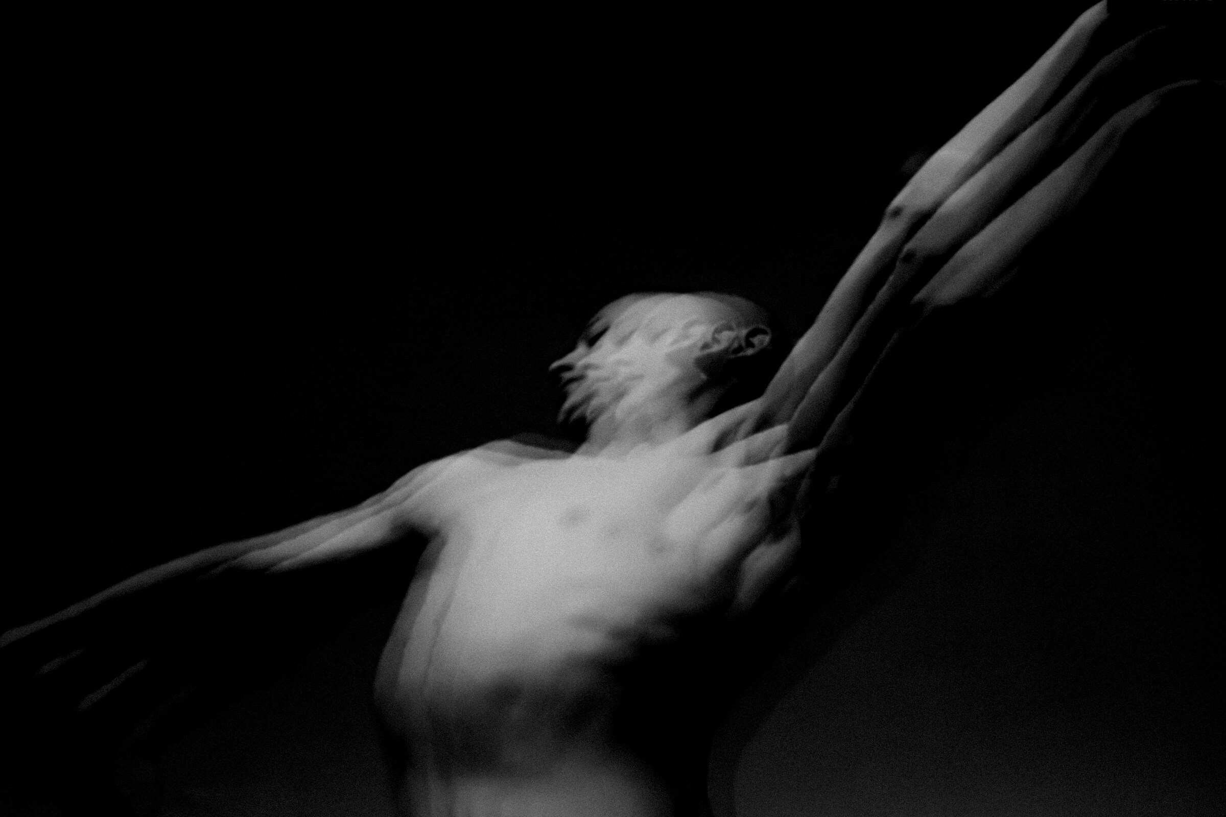 Photography by Paul Phung