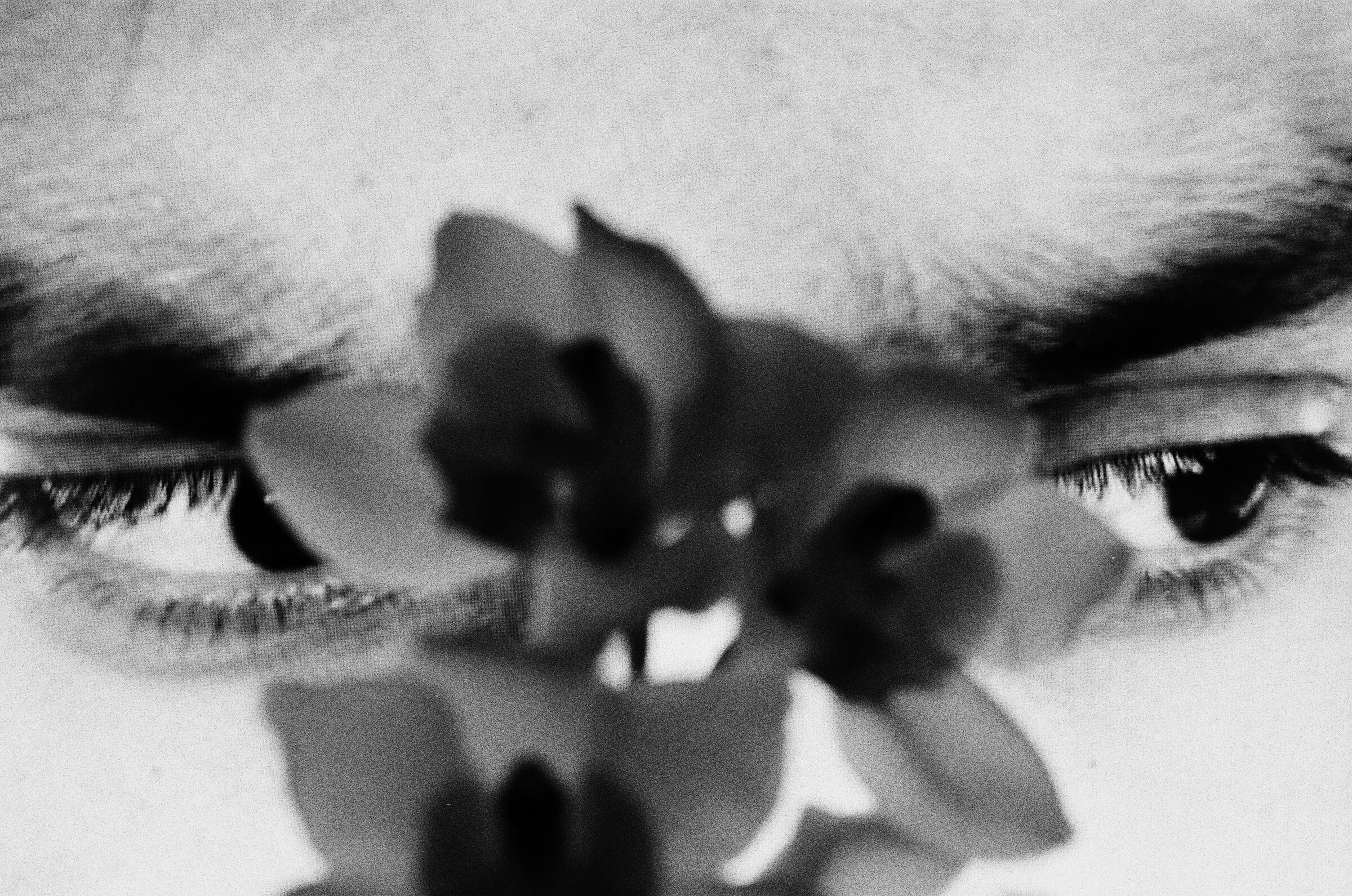 Photography by Alexandra Leese
