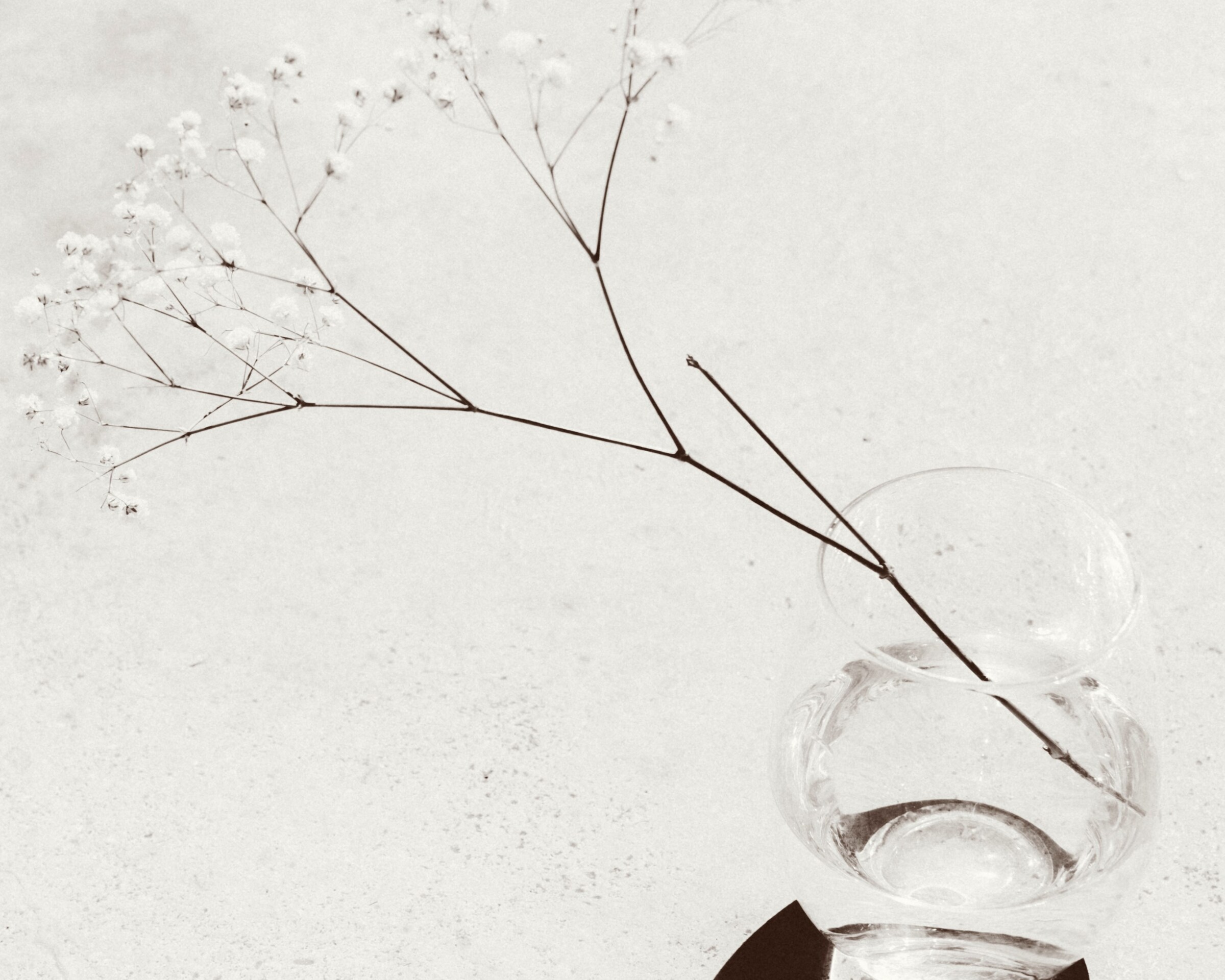 Photography by Paul Phung