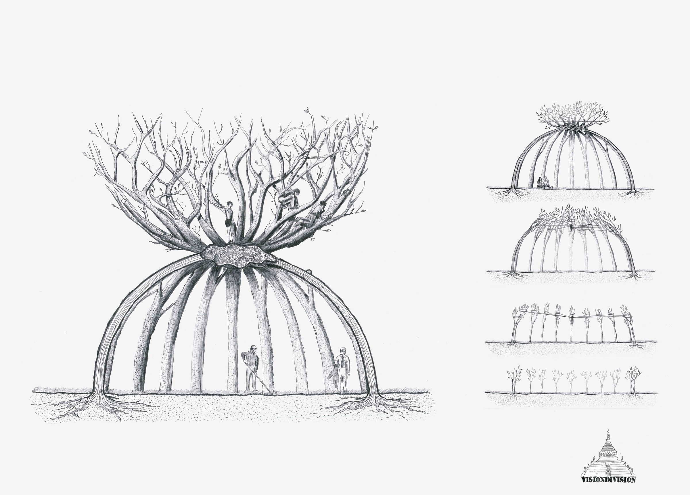 Vision Division_The Patient Gardener_02