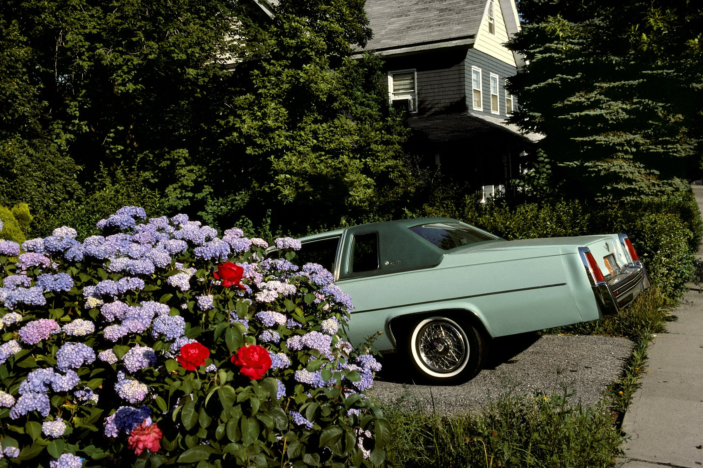 Harry Gruyaert__Magnum Photos