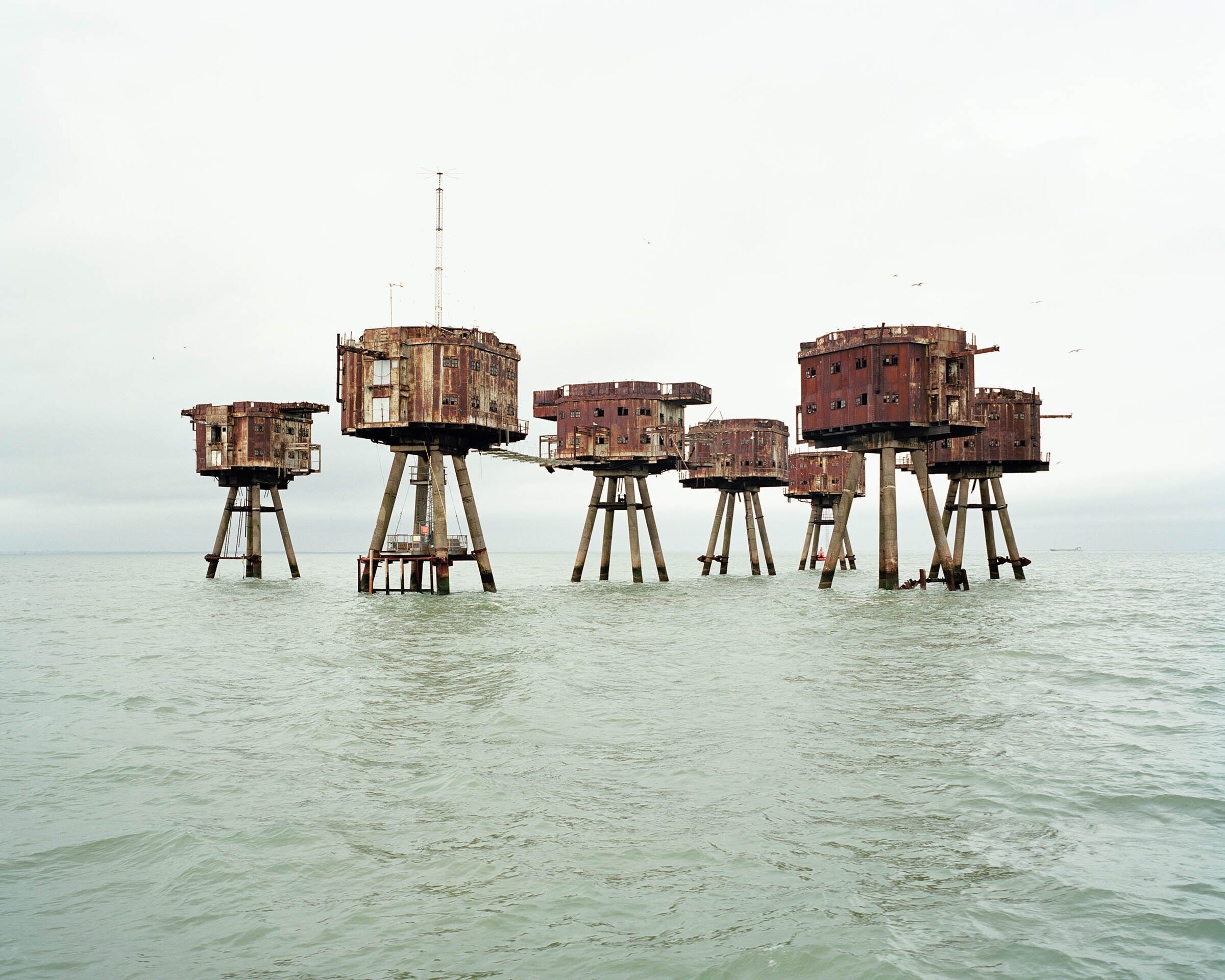 Chloe_Dewe_Mathews_Thames_Log_17