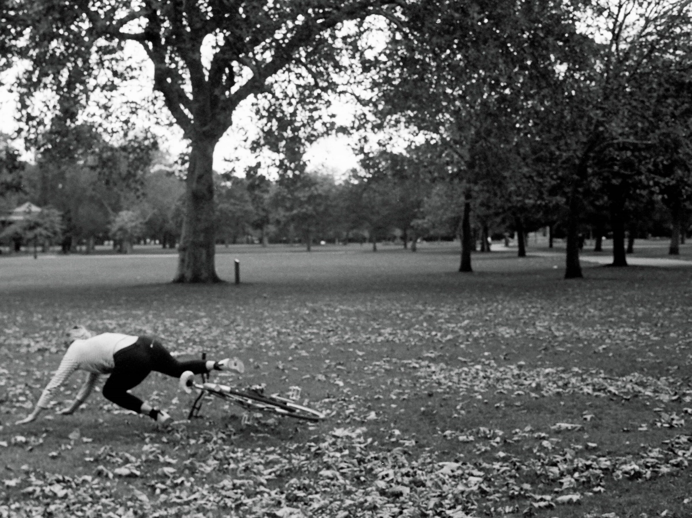 Falling by Gabby Laurent