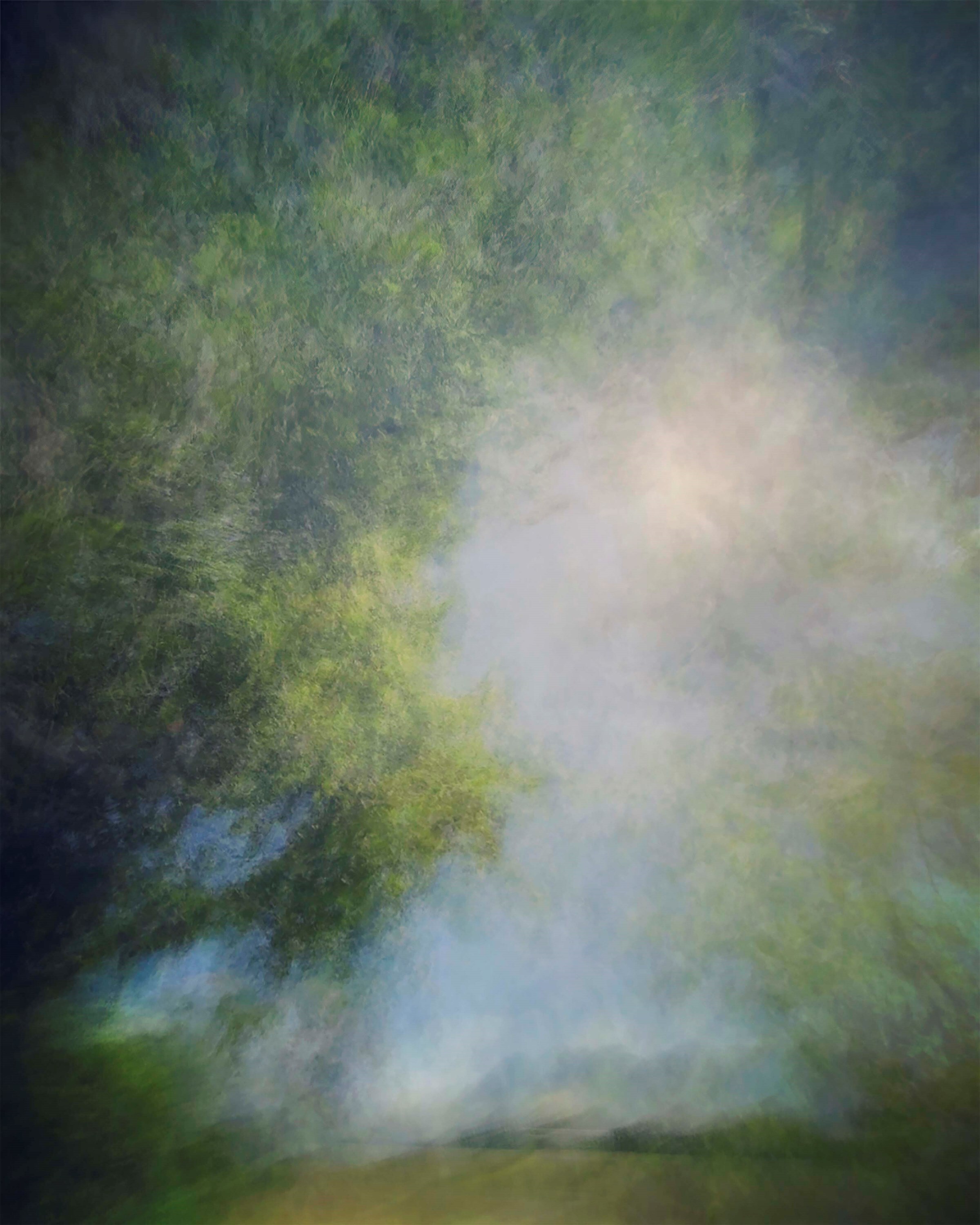 Nick Knight photographer Roses Albion Barn