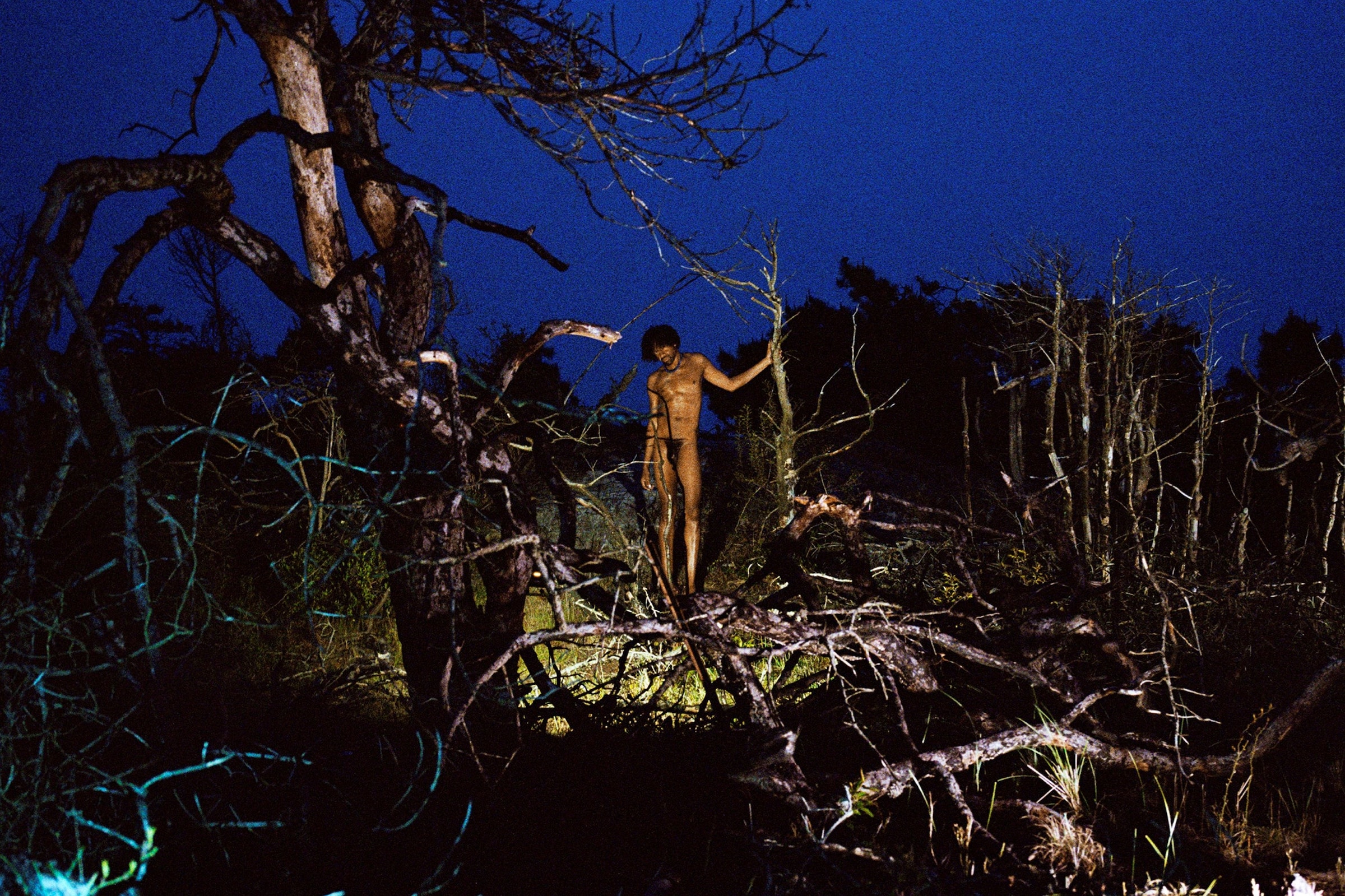 To Die Alive by Matthew Leifheit, Damiani