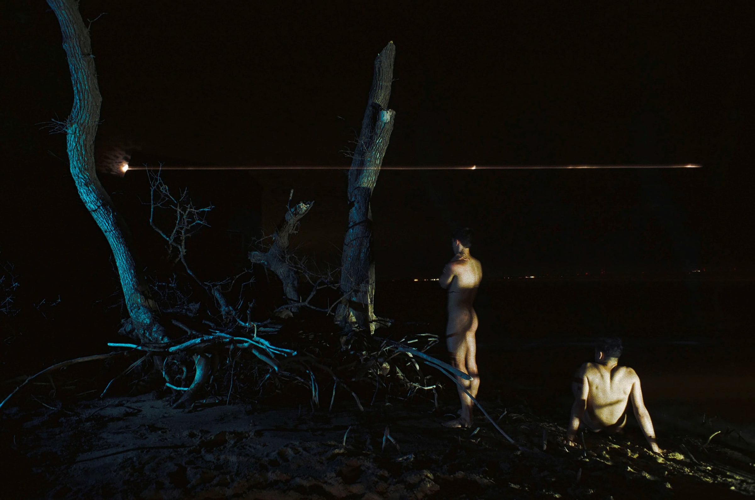 To Die Alive by Matthew Leifheit, Damiani