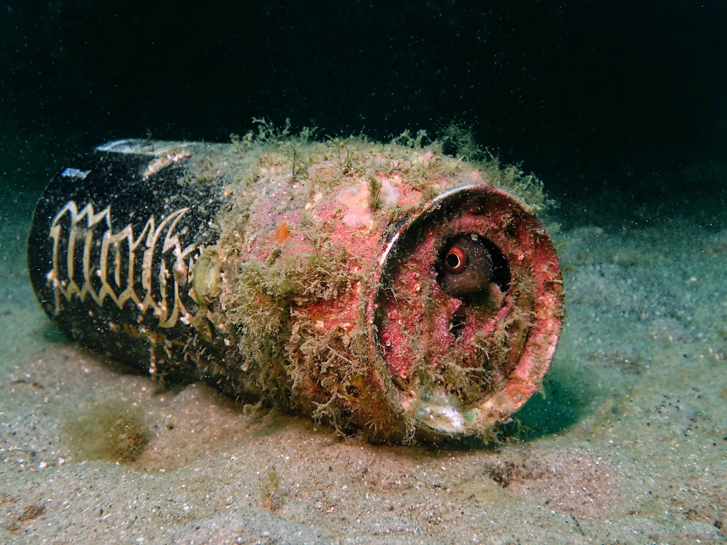 State of the Oceans Parley for the Oceans