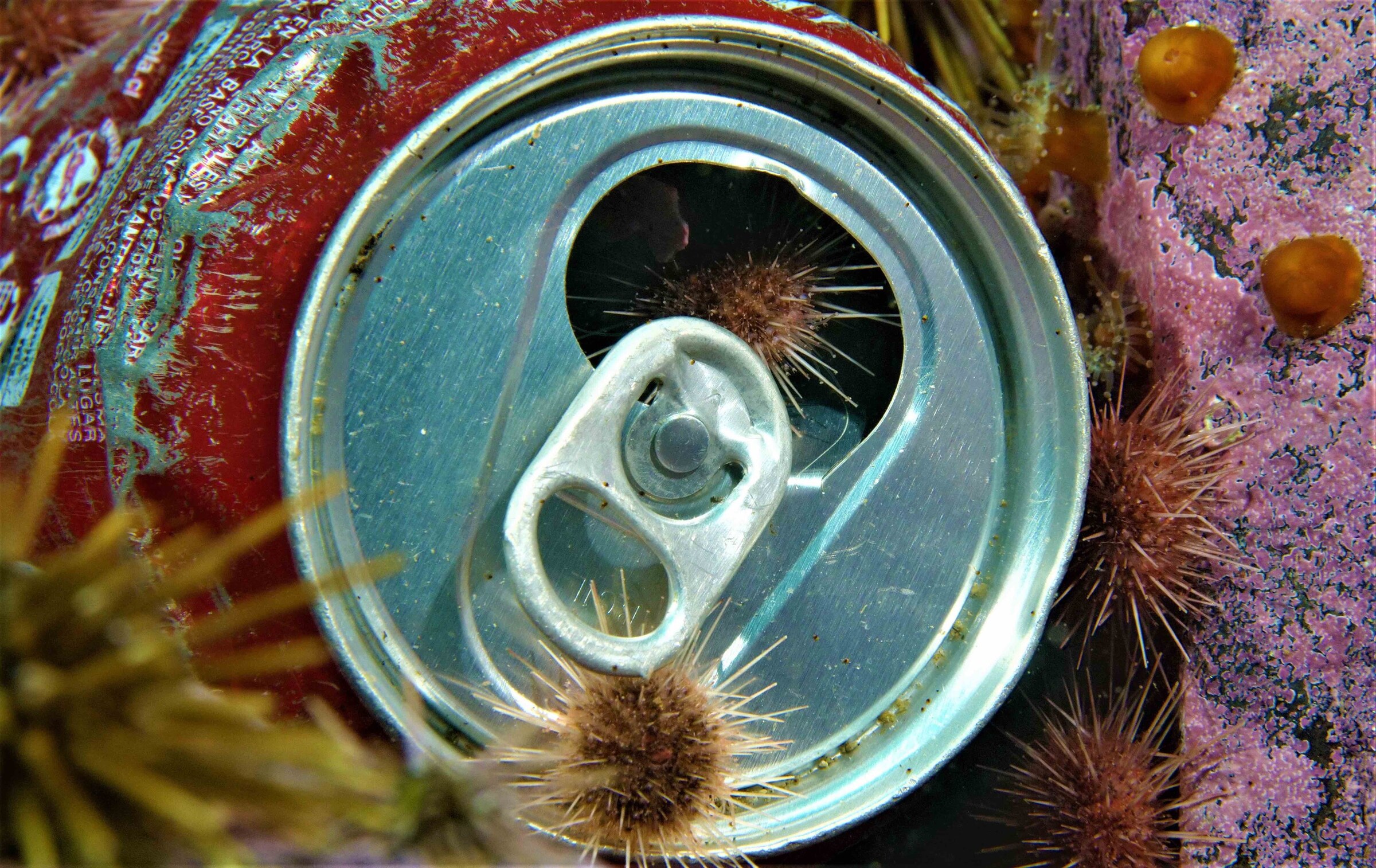 State of the Oceans Parley for the Oceans