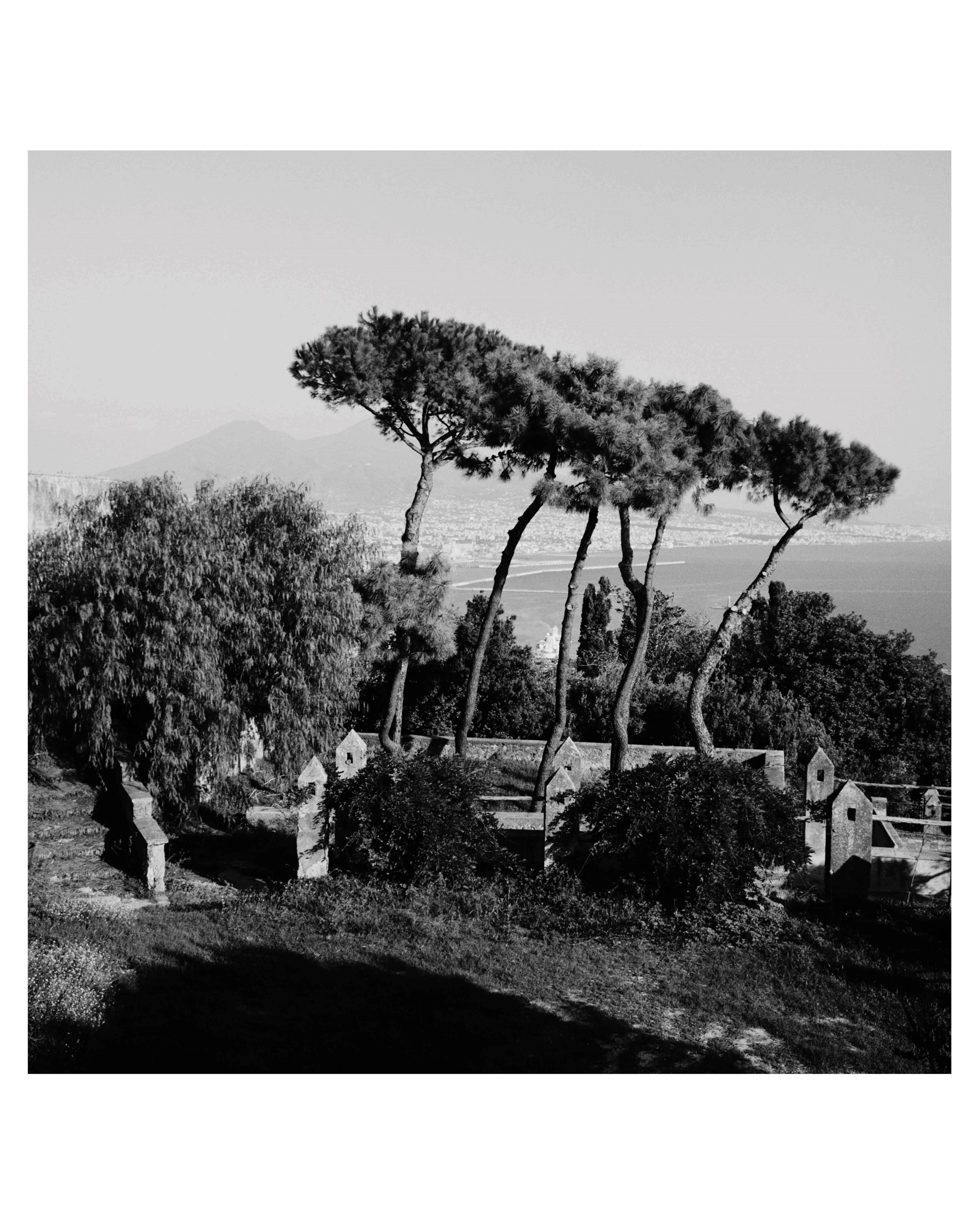 Napoli, Napoli, Napoli book Brett Lloyd photographer