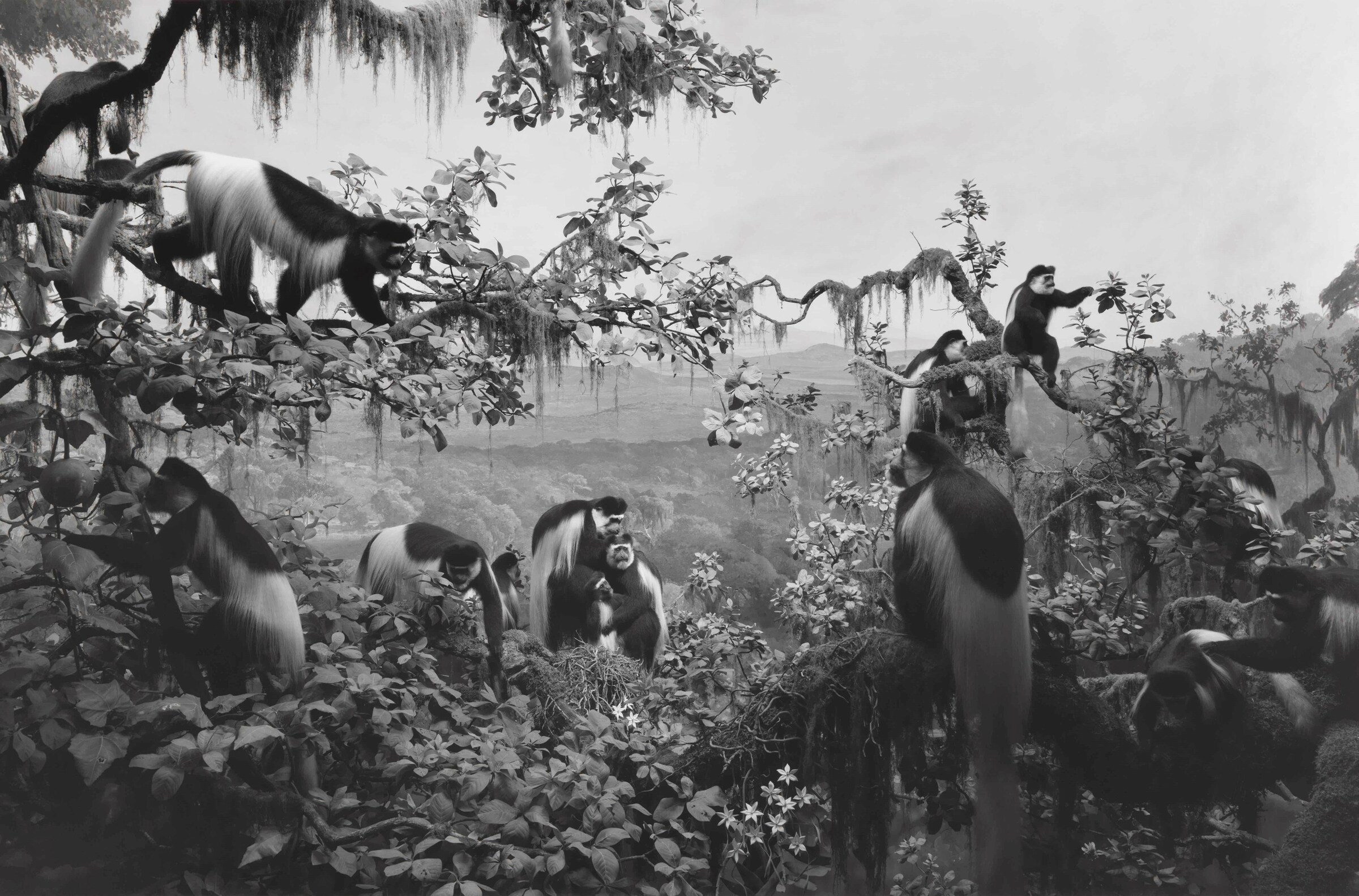 Dioramas by Hiroshi Sugimoto