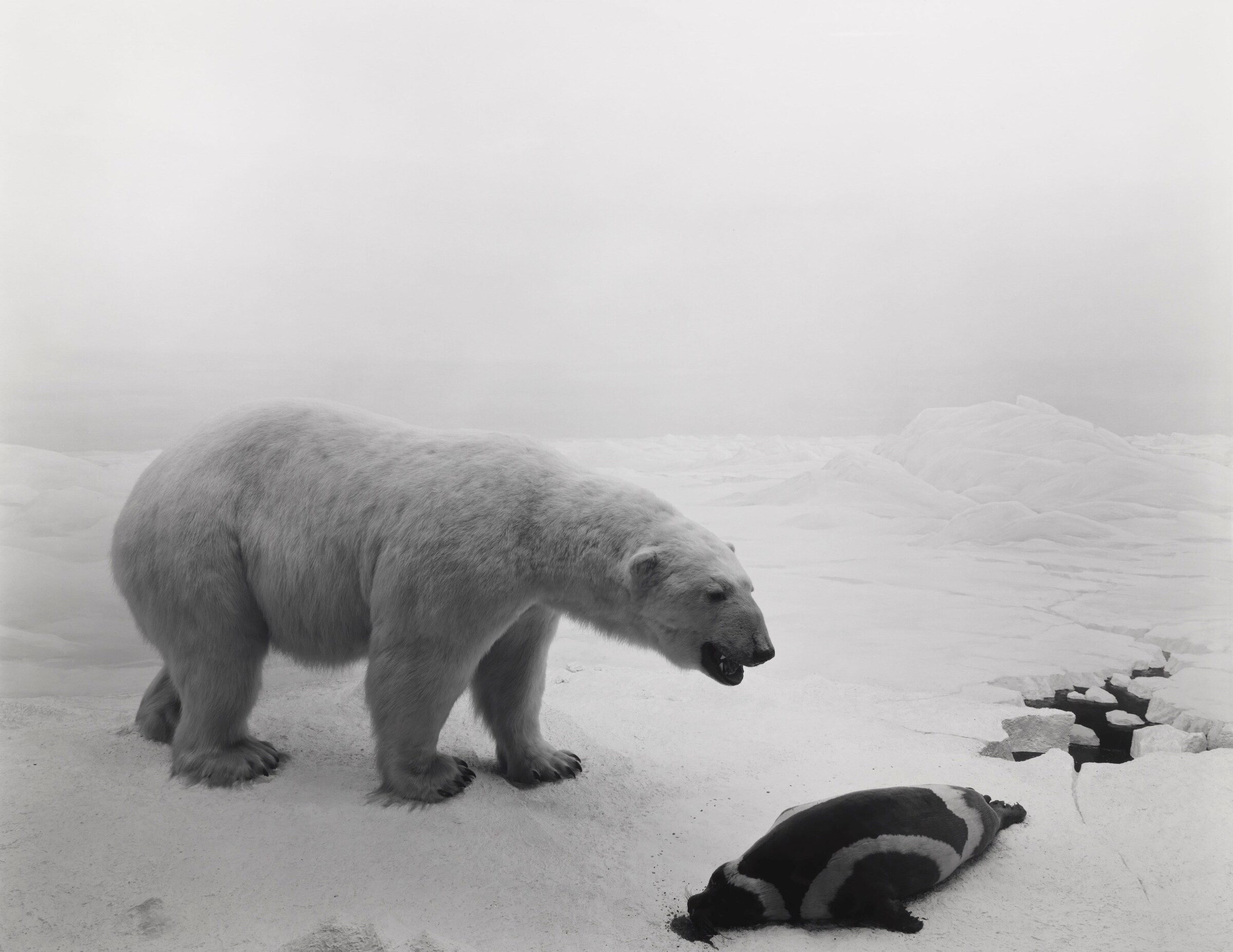 Dioramas by Hiroshi Sugimoto