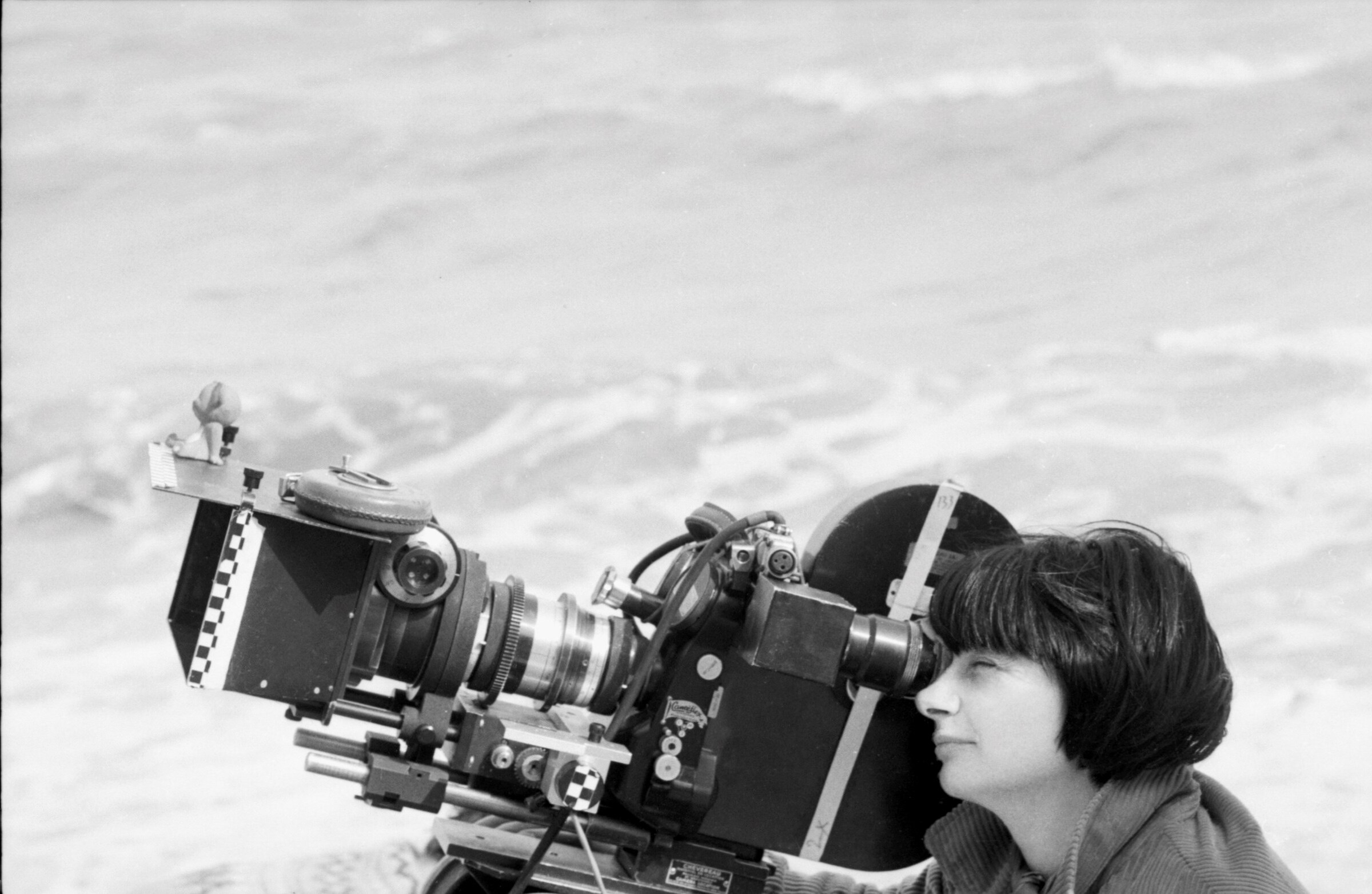 Viva Varda! Agnès Varda