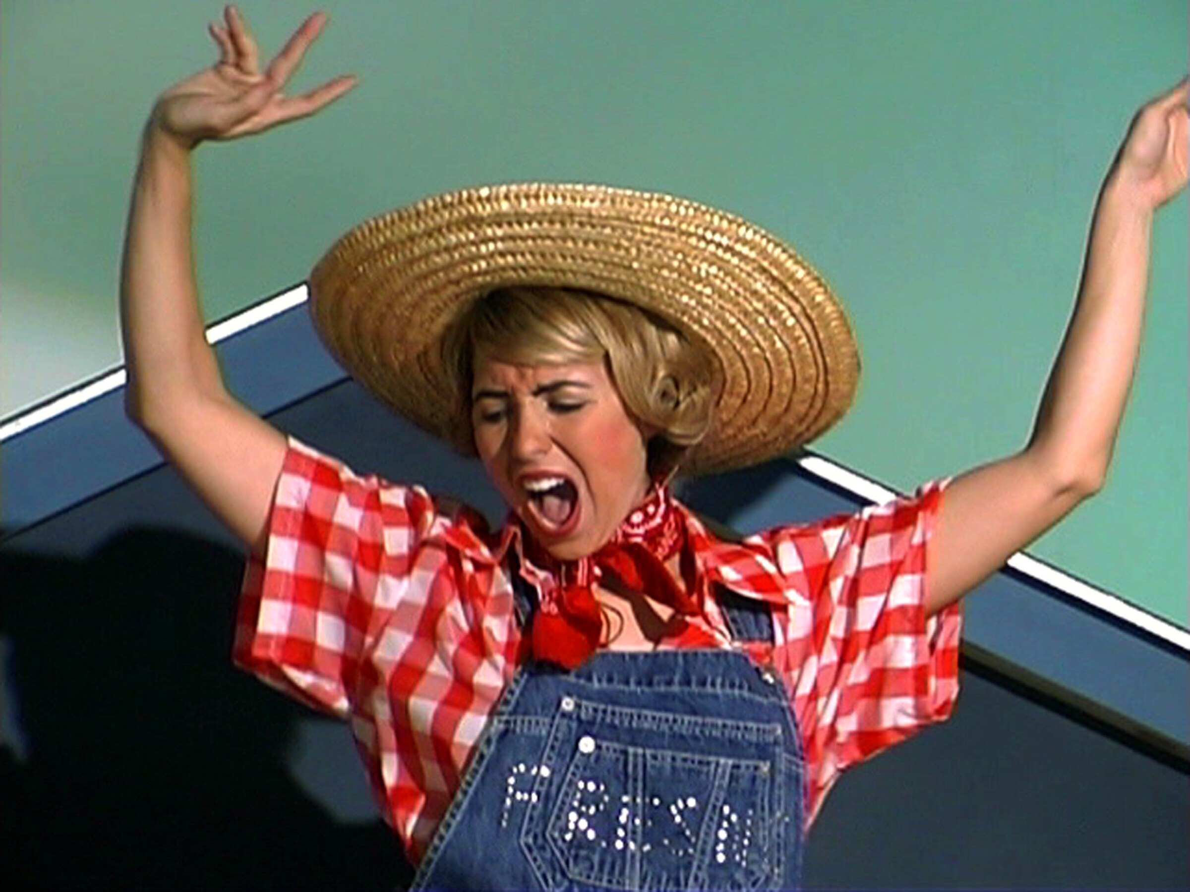 Mike Kelley, EAPR #9 (Farm Girl), 2004-2005