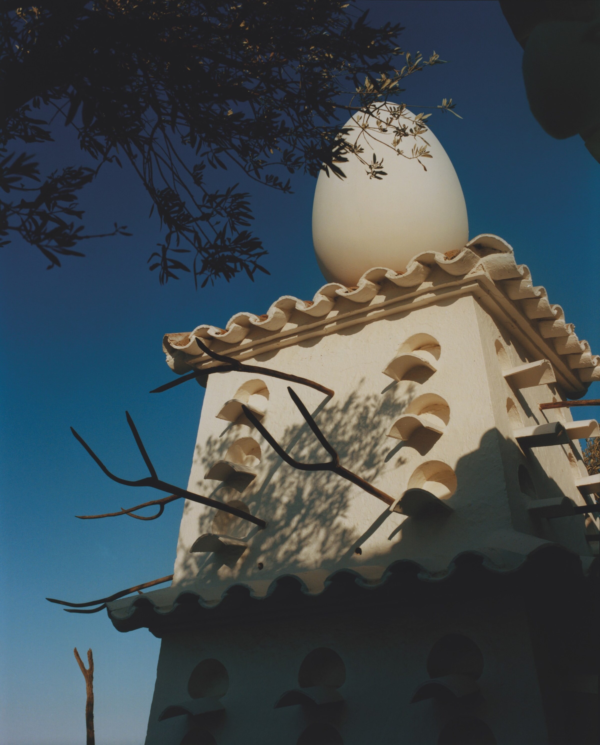 Casa Dal&#237; by Coco Cap&#237;tan
