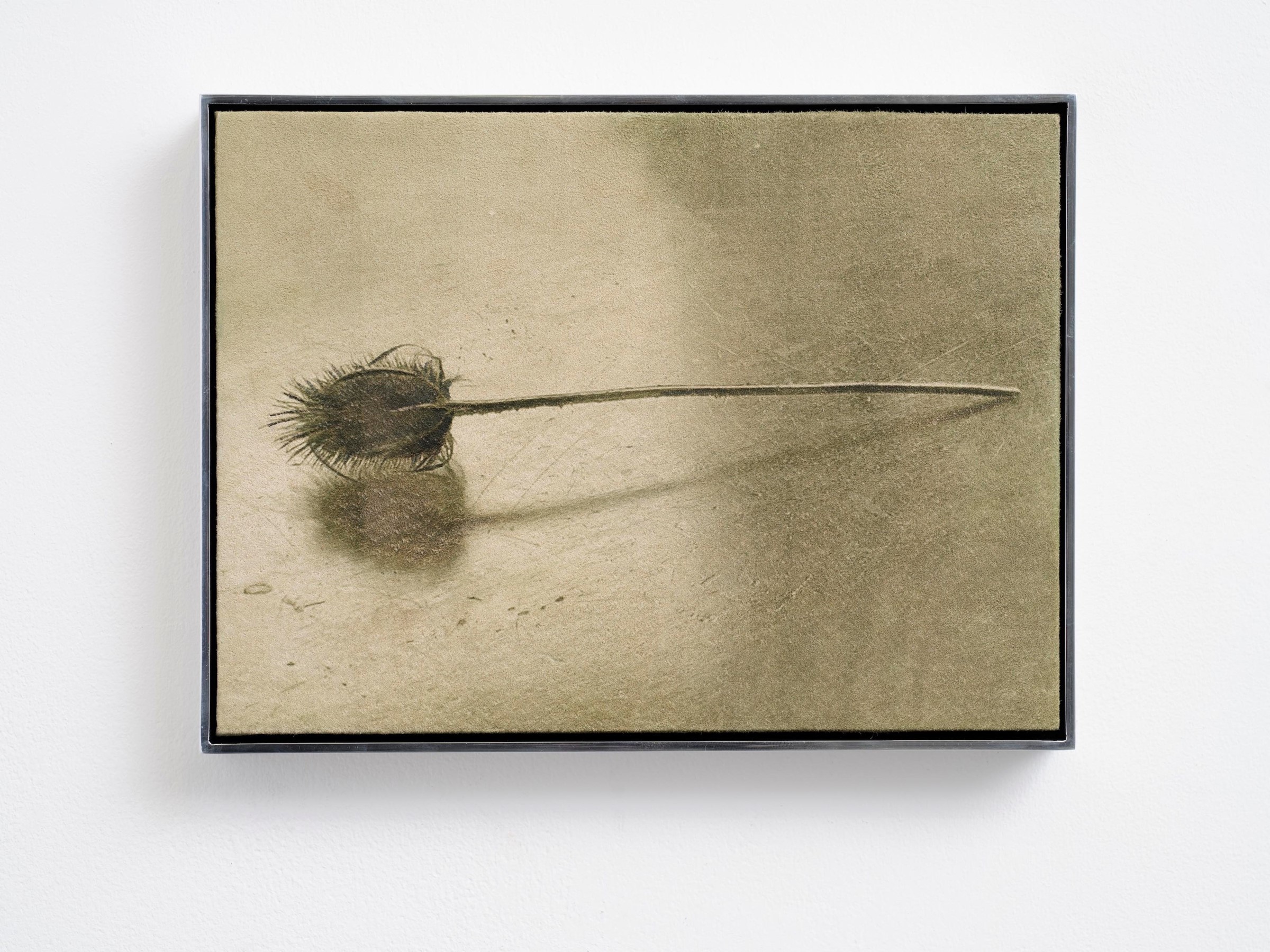 Solid Objects by Poppy Jones