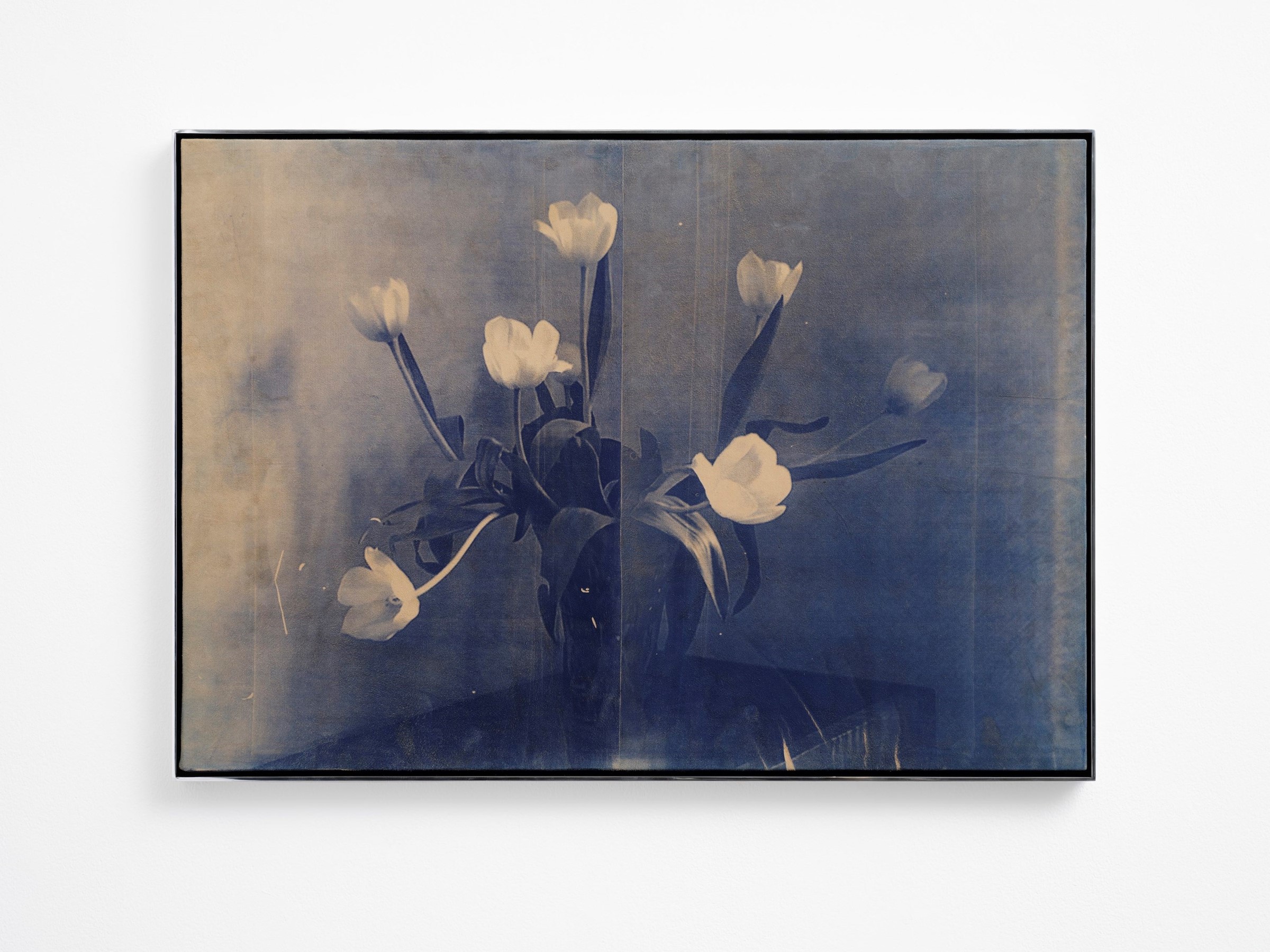 Solid Objects by Poppy Jones