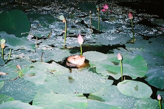 Ren Hang, No Name, 2014