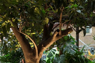 The garden at Blixen, London