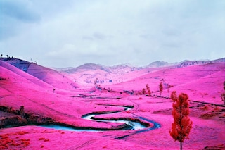 13. Richard Mosse, Platon, 2012