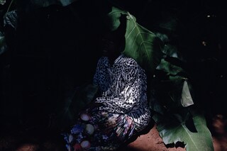 Biotope, 2010