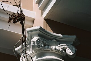 Colonies_KTM_11