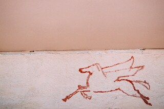 Photography by Lorena Lohr