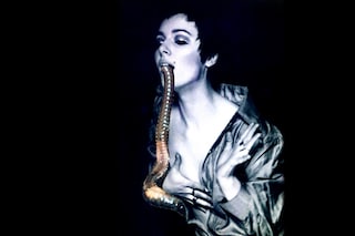  &#39;The Larval Worm&#39;, collage, from &#185;50% The Visible