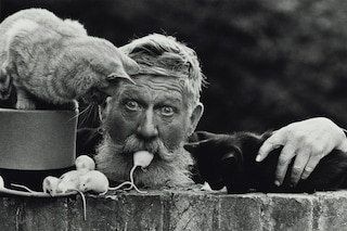 Don McCullin online exhibition Hamiltons Gallery